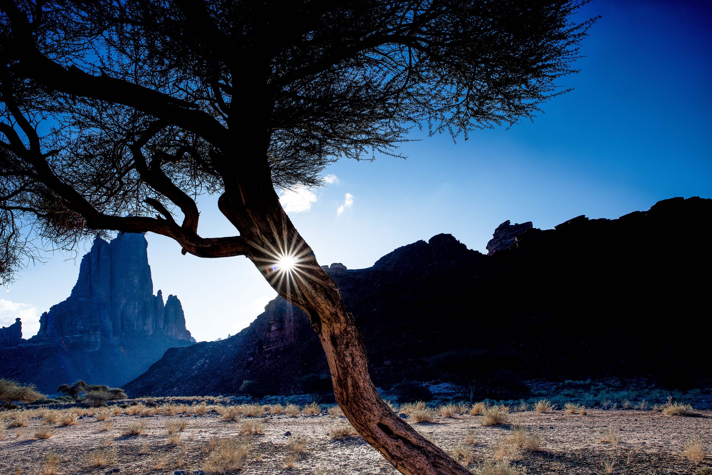 DSC_3911-Edit.jpg