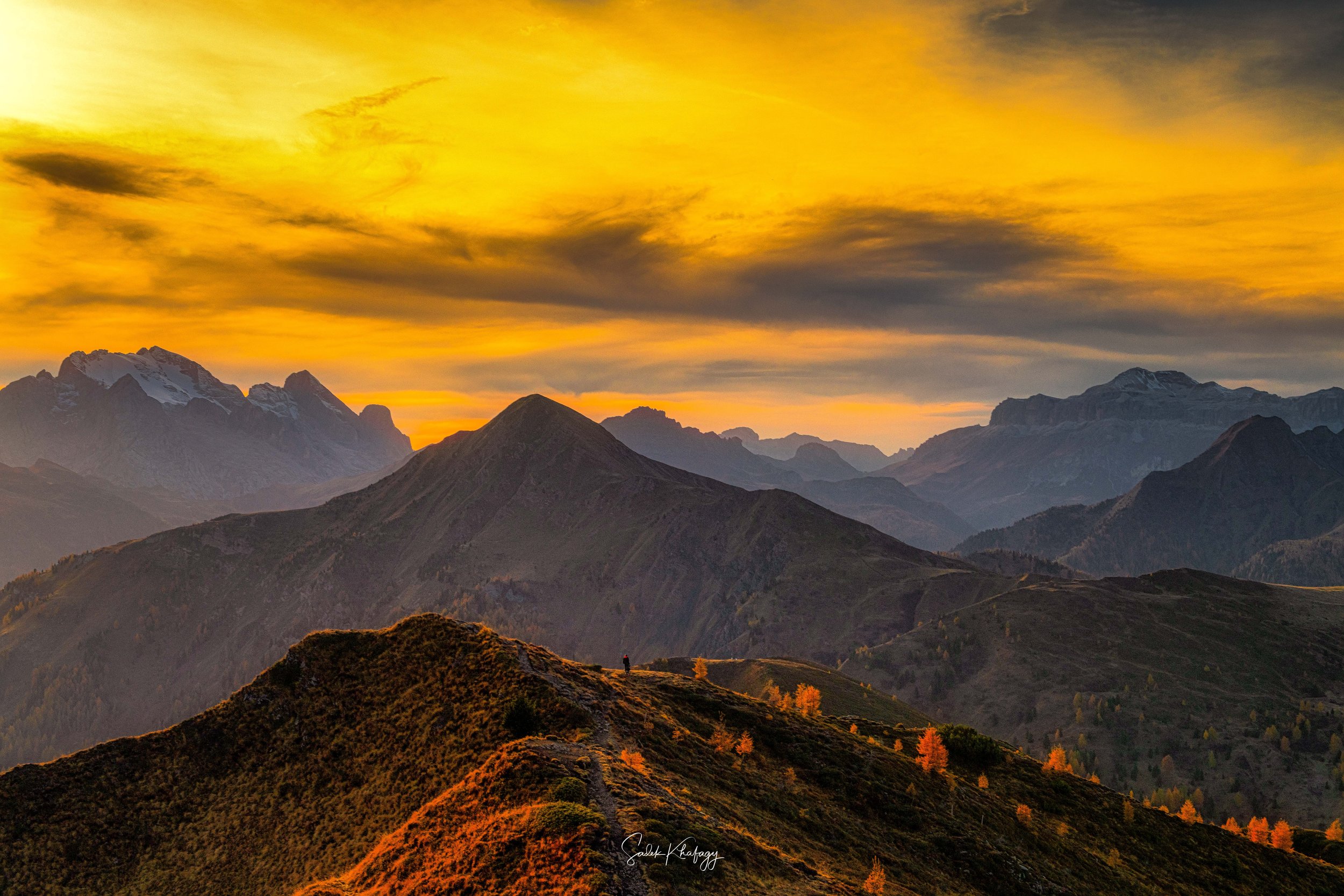 DSC_9047-Edit-2.jpg