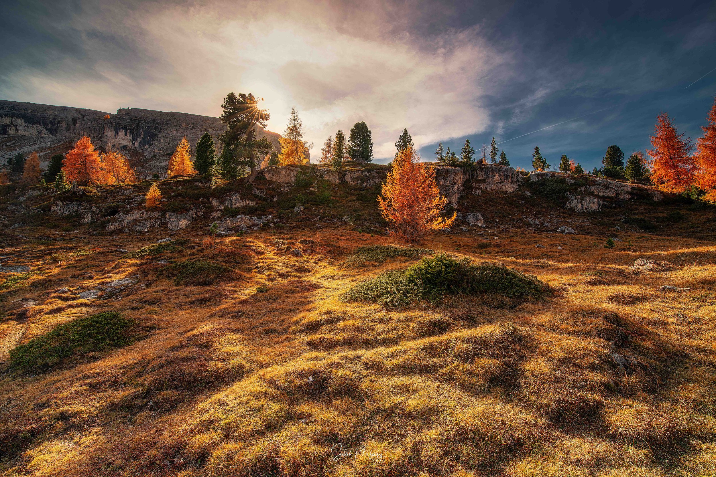 DSC_8536-Edit-Edit-Edit.jpg