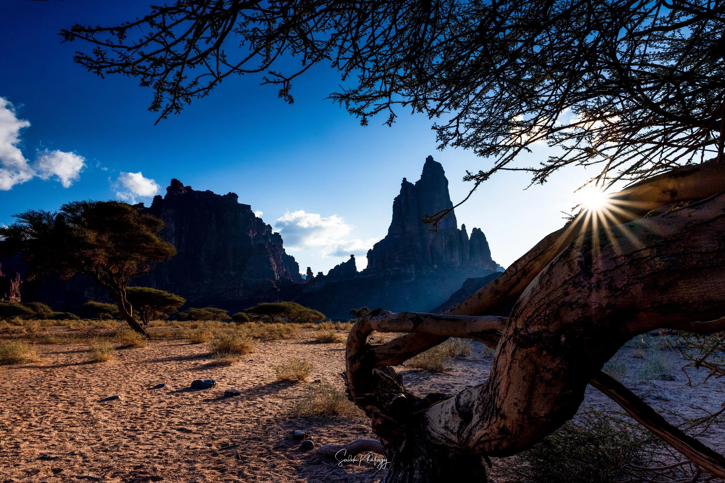 DSC_3855-Edit.jpg
