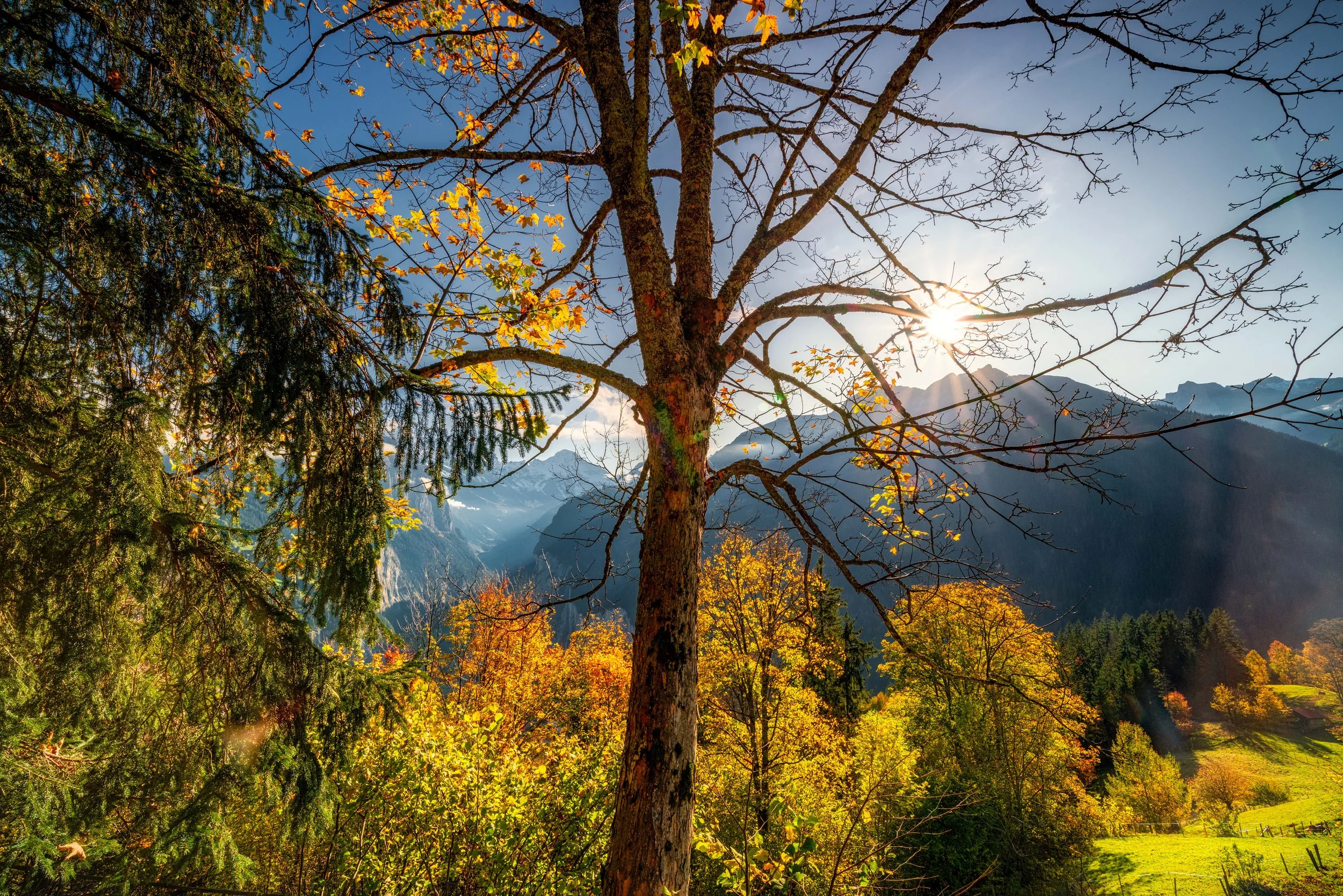 DSC_1192-Edit.jpg