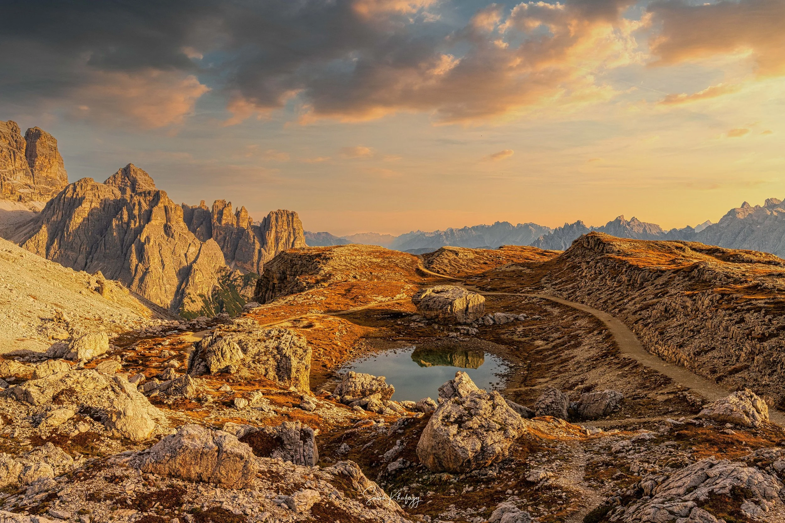 DSC_7809-Edit.jpg