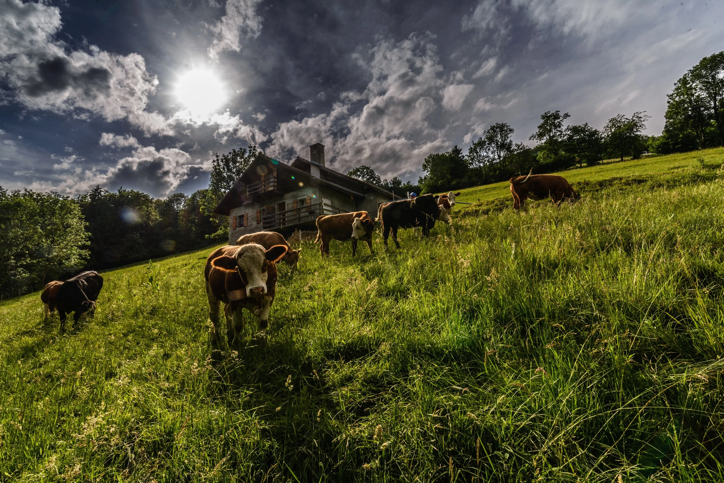 DSC_0926.jpg