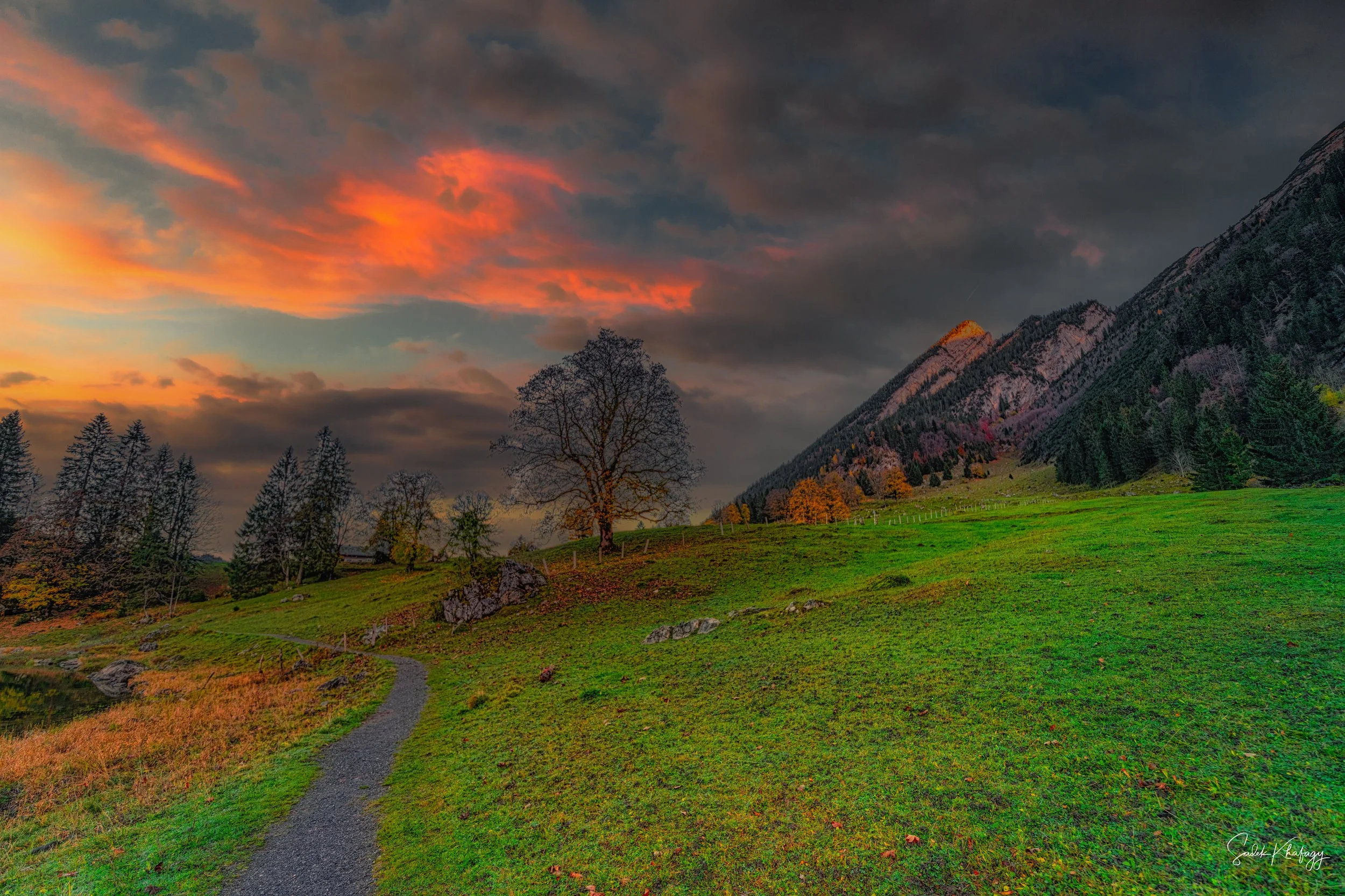 DSC_2165-HDR-Edit.jpg