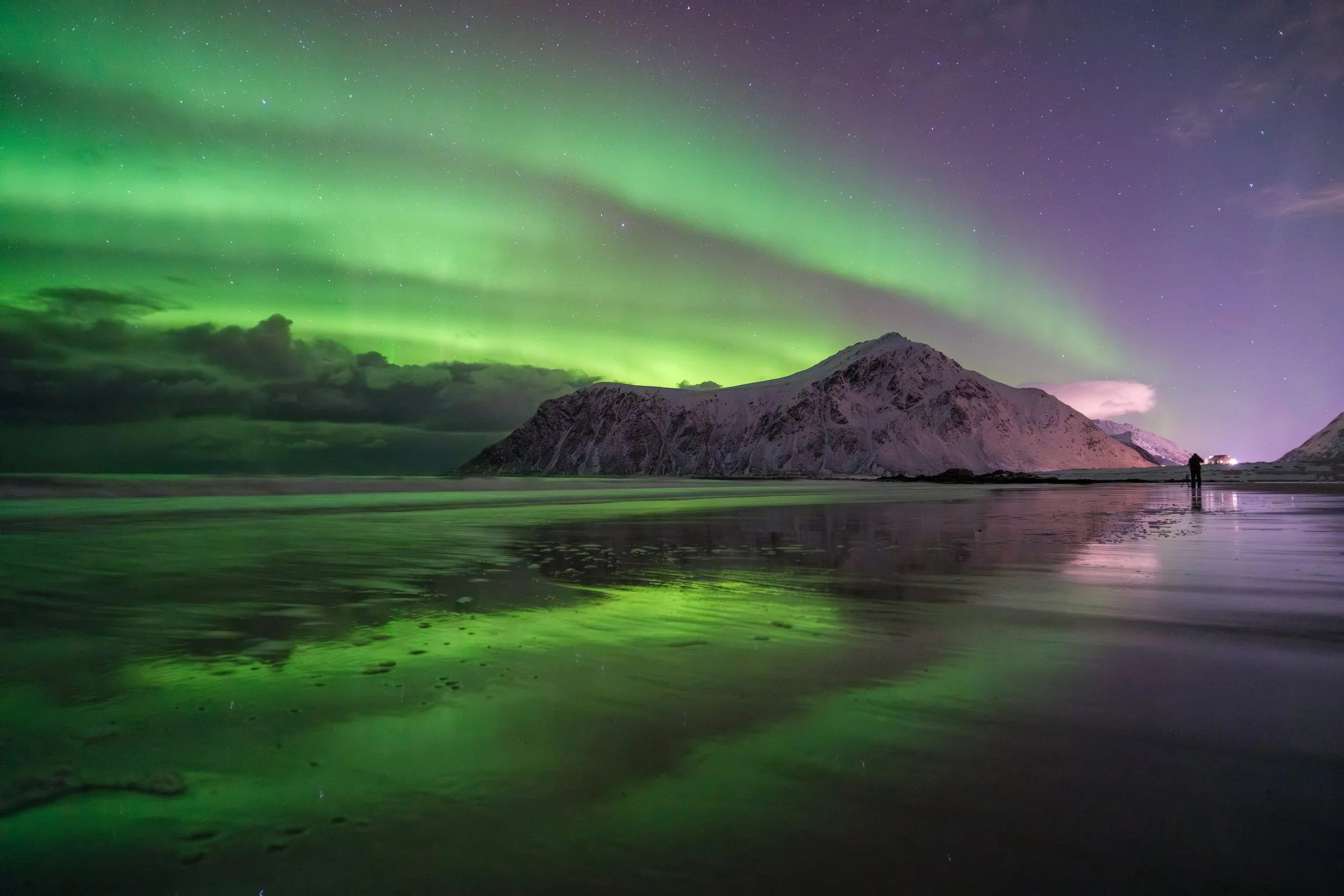 Norway Aruora 