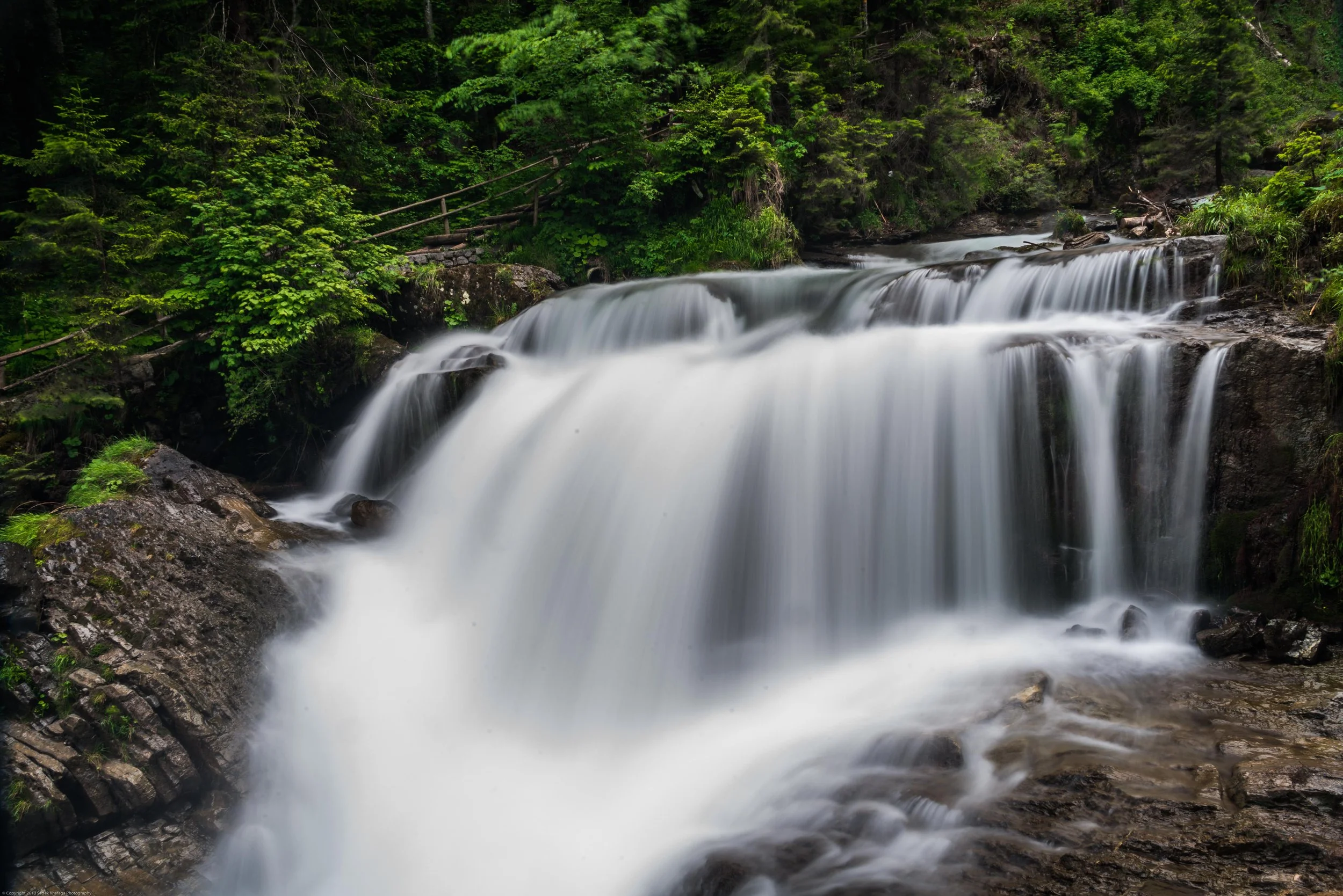 DSC_6193.jpg