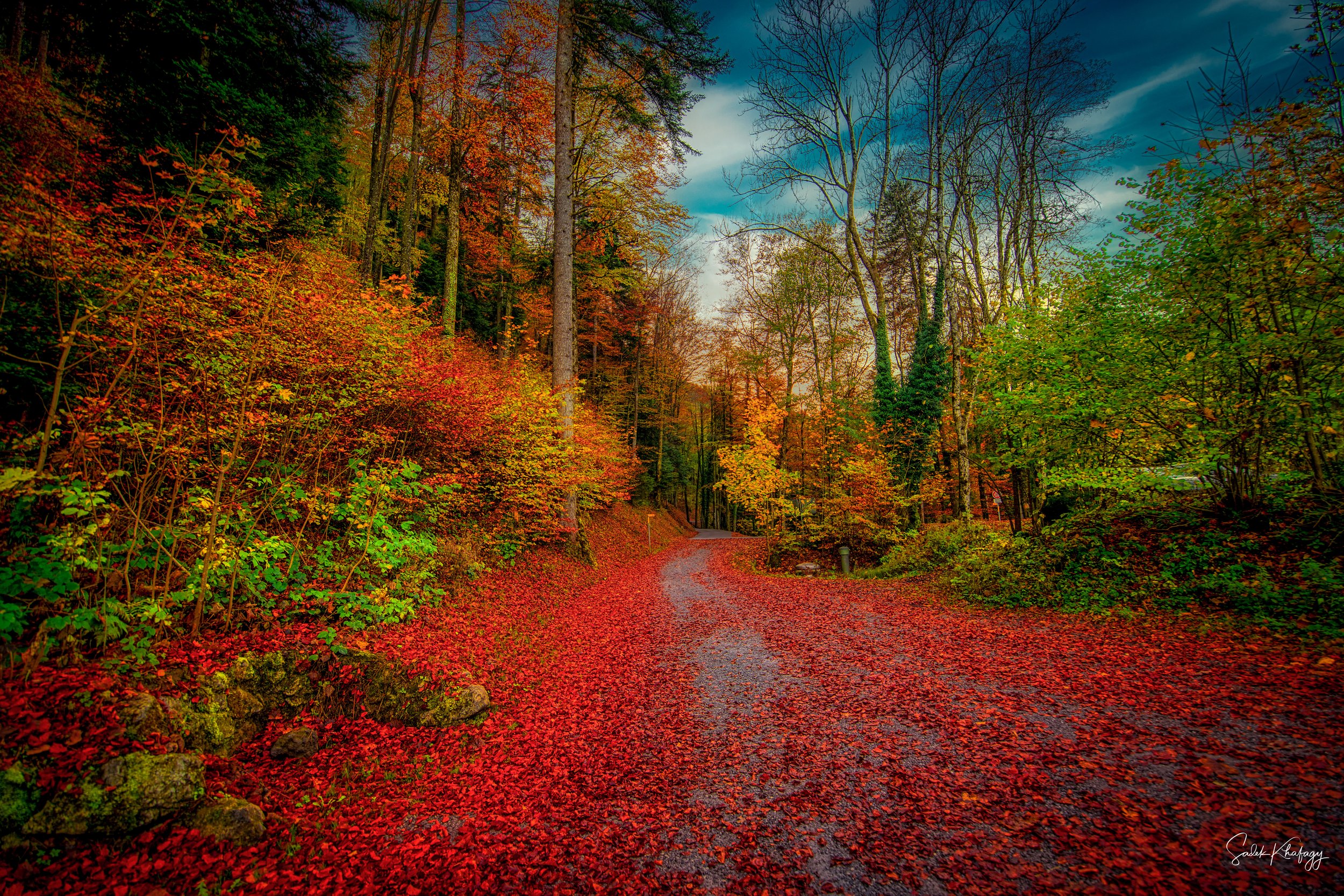 DSC_2186-Edit.jpg