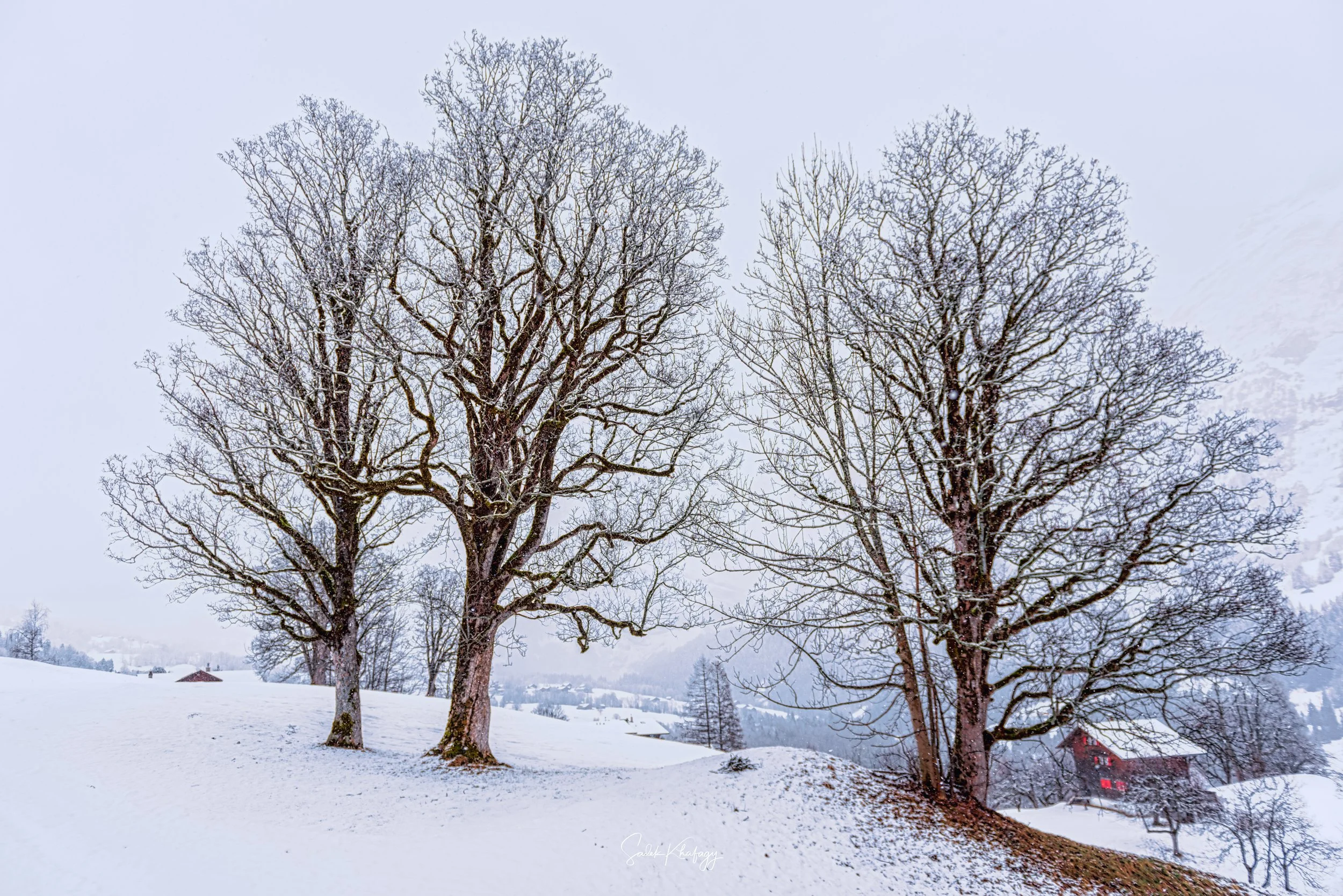 DSC_4728-Edit.jpg
