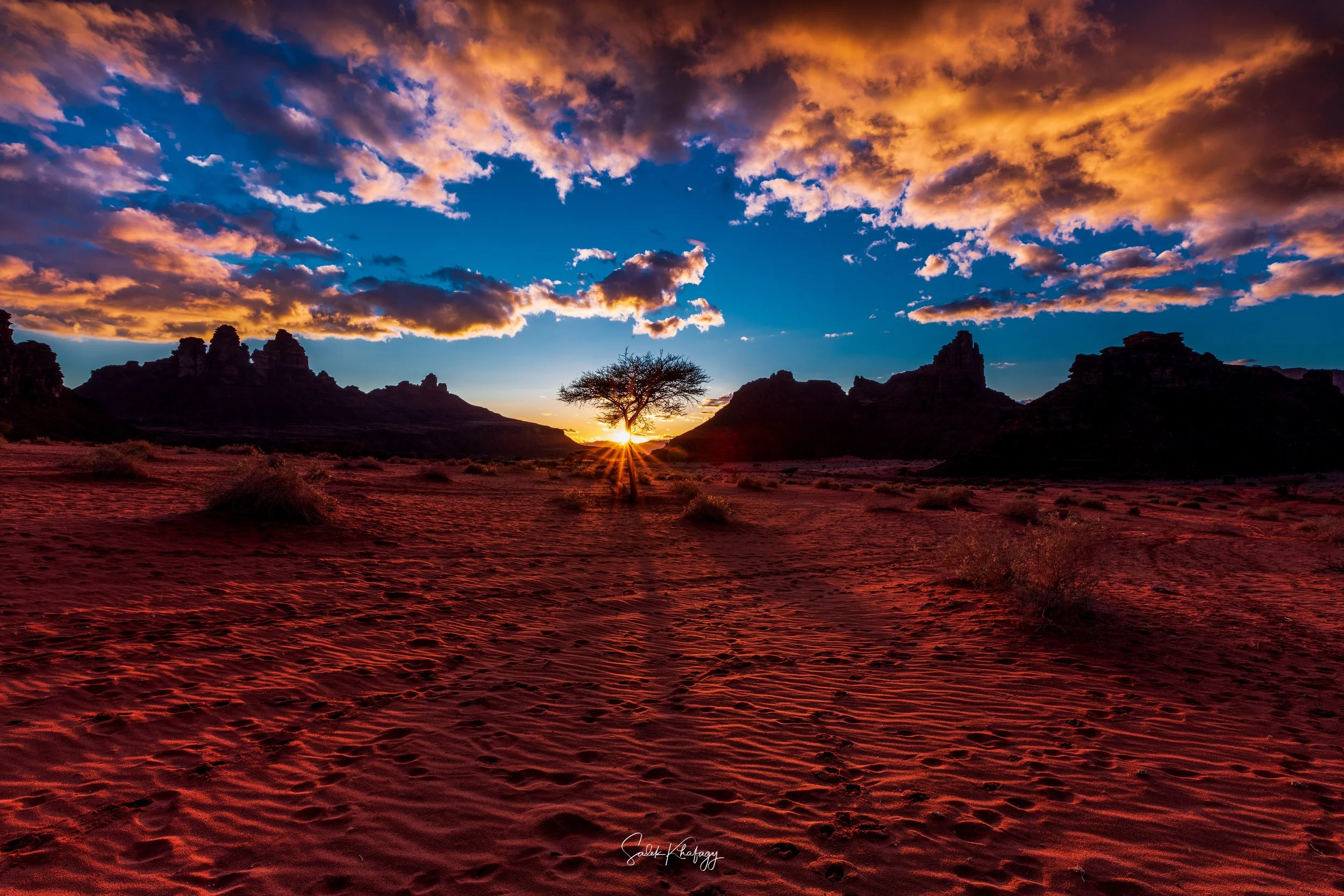 DSC_3555-Edit.jpg