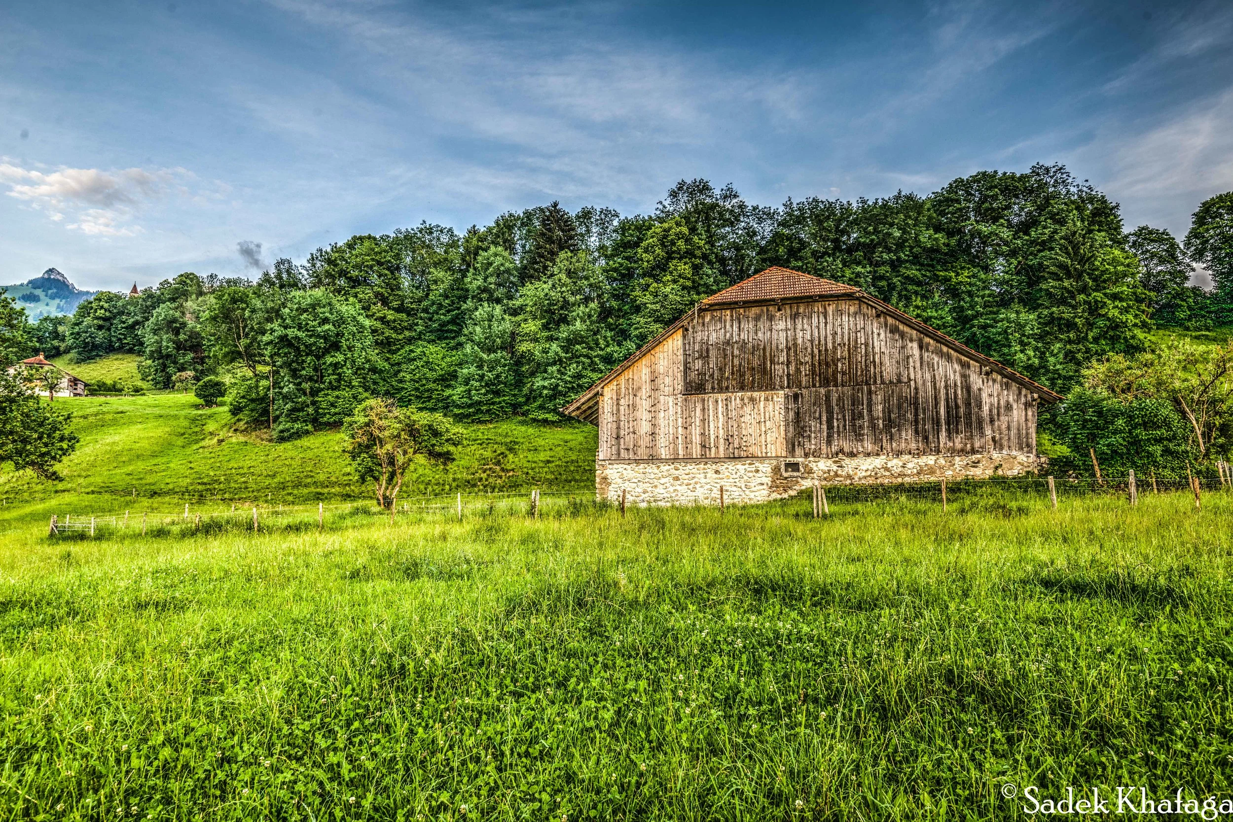DSC_1316_7_8HDR.jpg