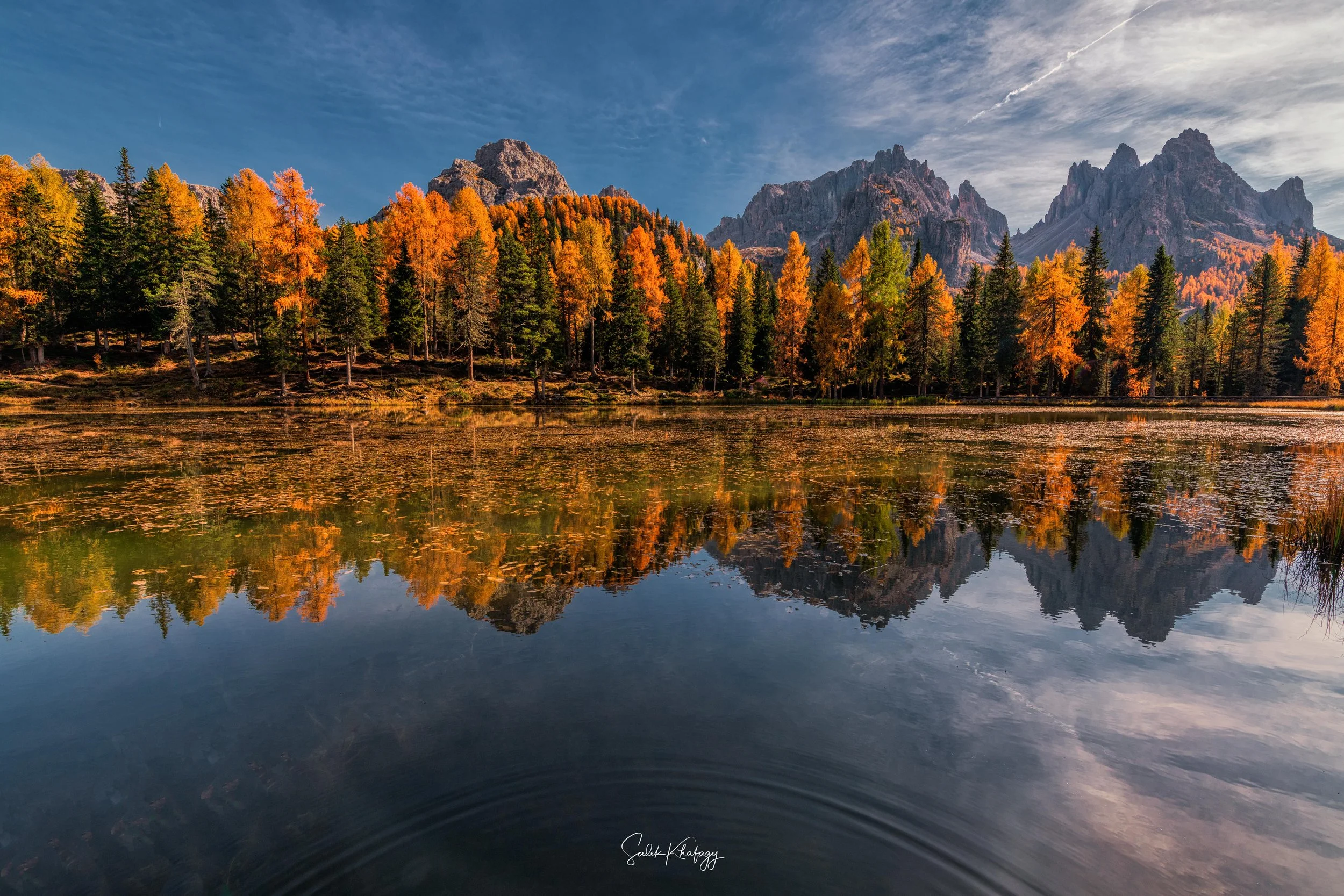 DSC_7219-Edit-Edit.jpg