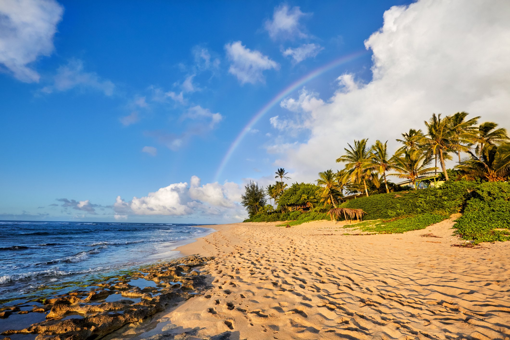 north-shore.jpg