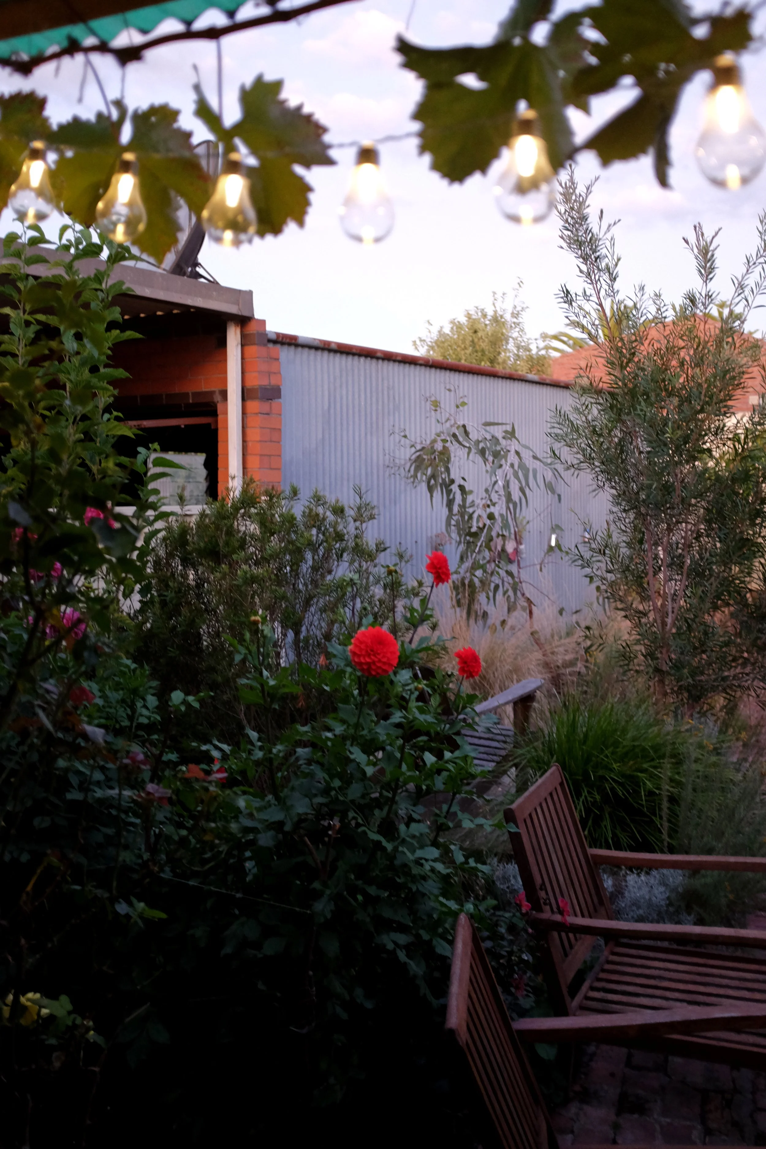DSCF1919.JPG