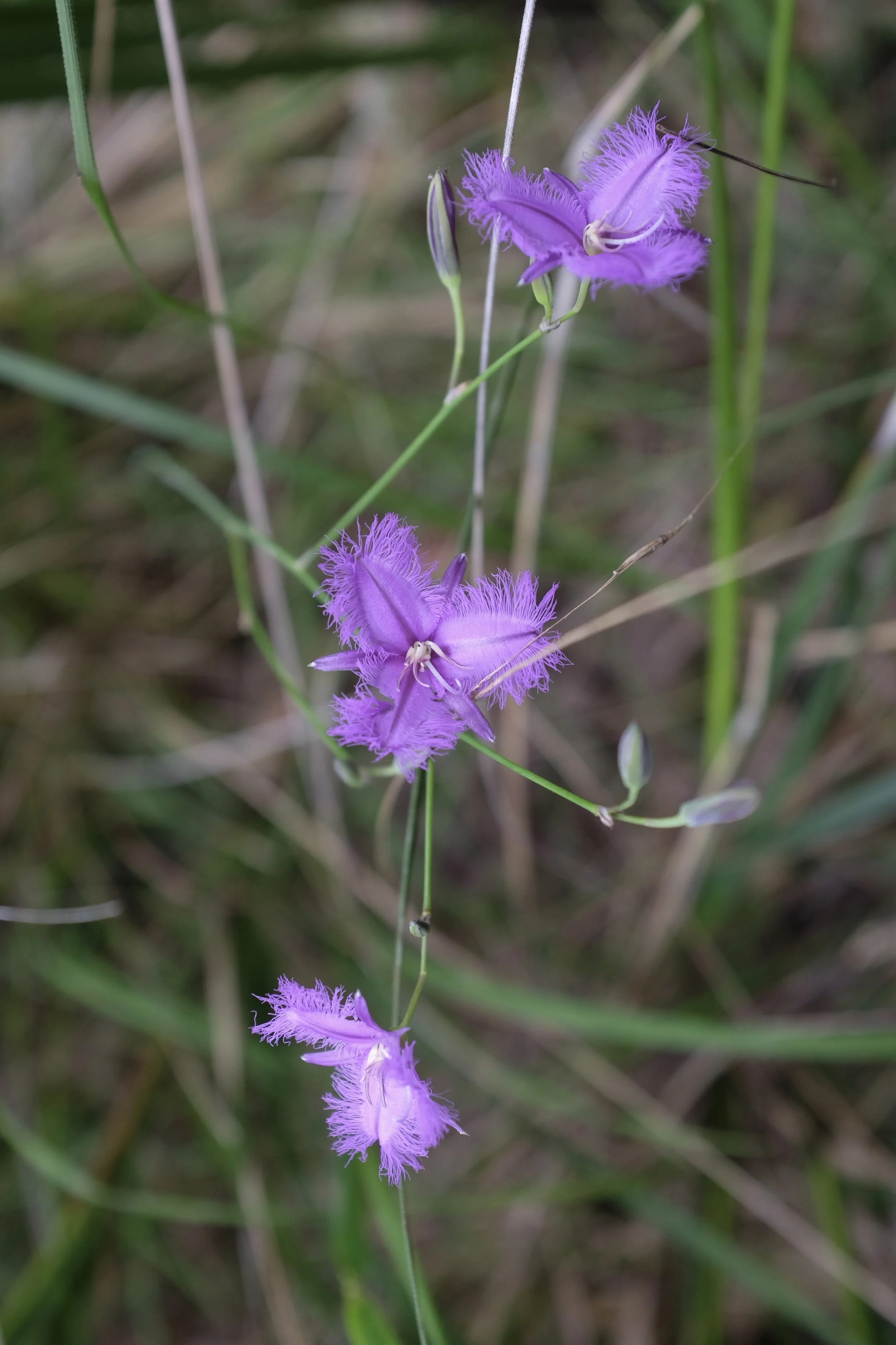 DSCF2843.JPG
