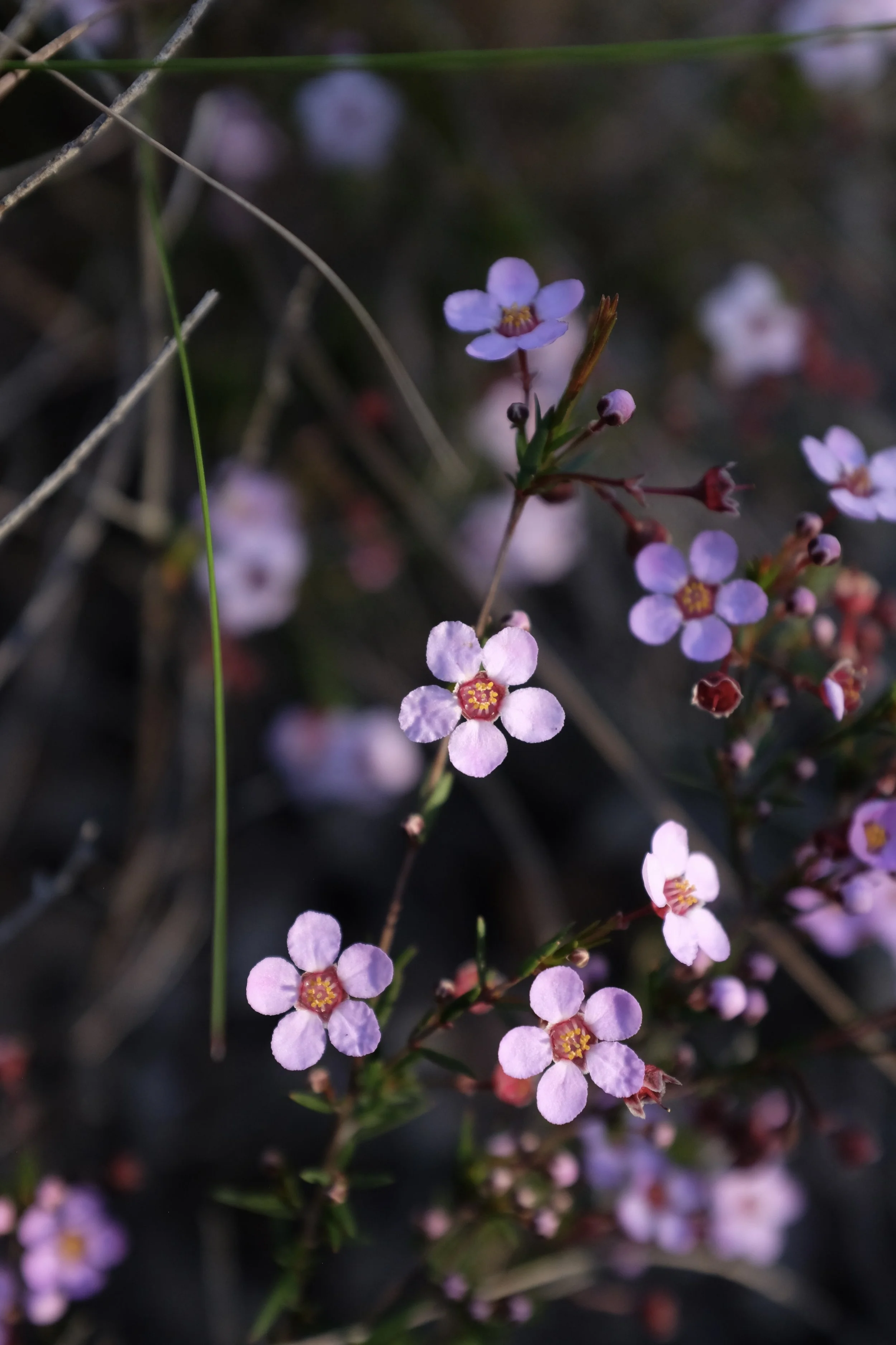 DSCF2597.JPG