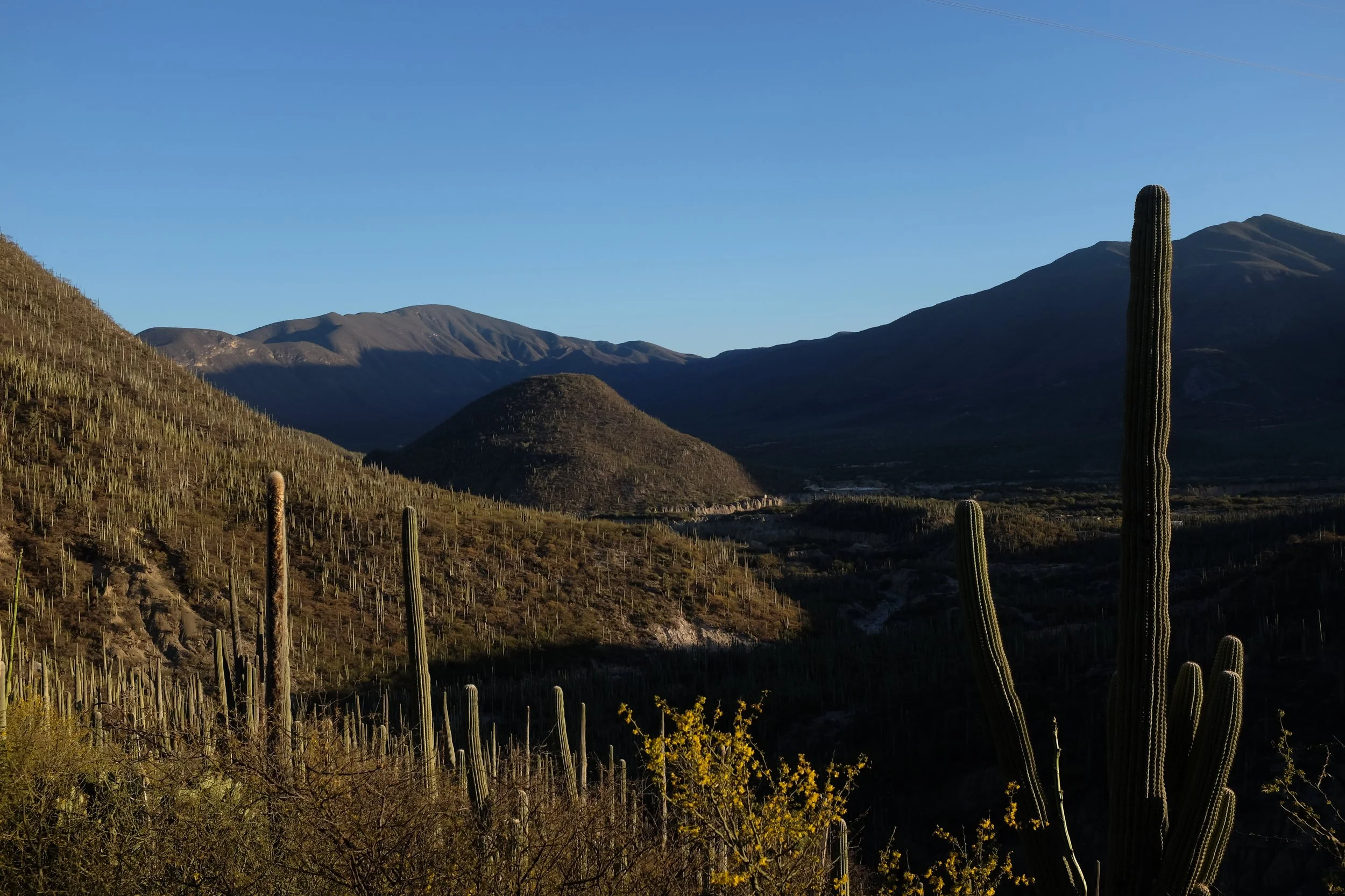 DSCF1453.JPG