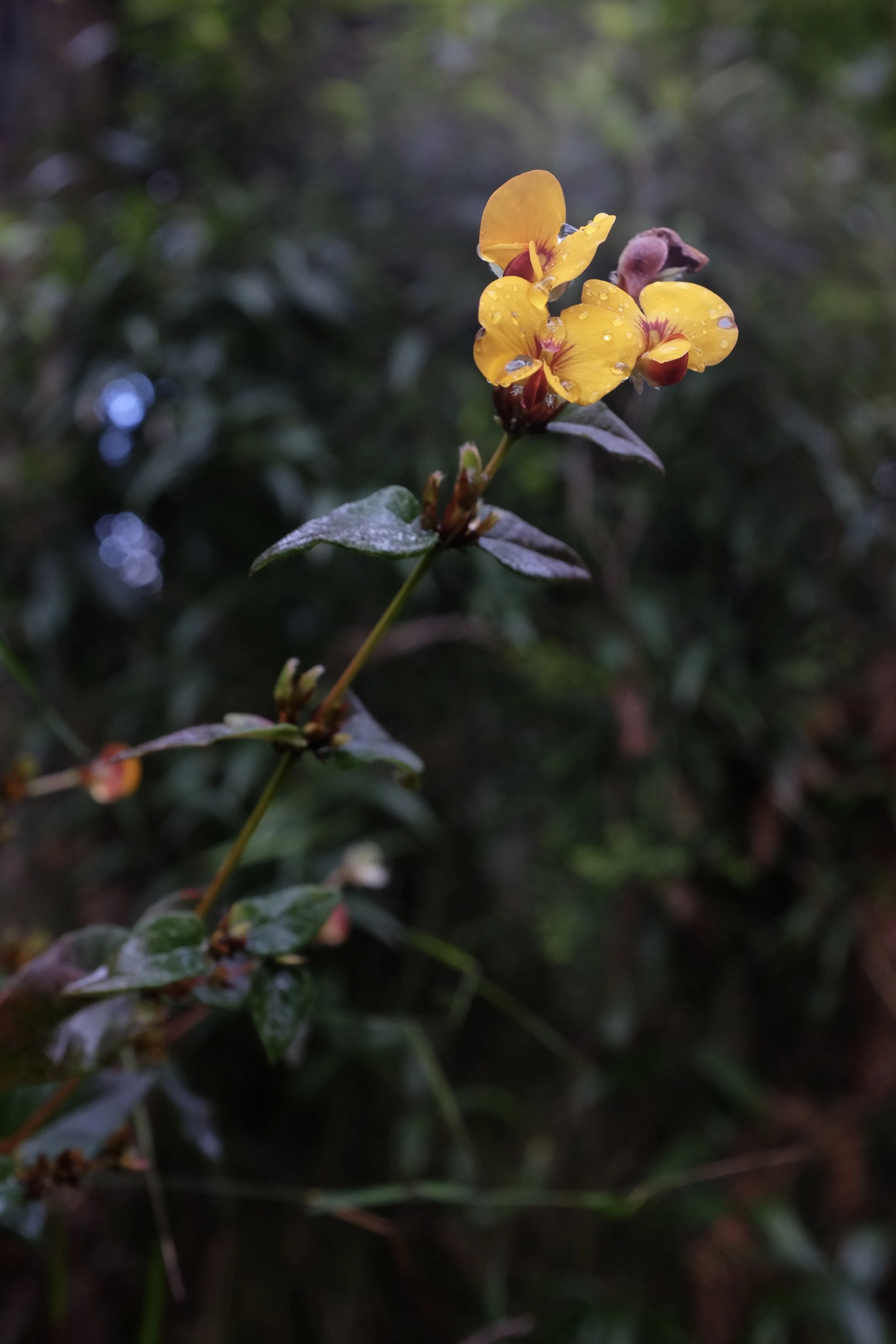 DSCF2493.JPG