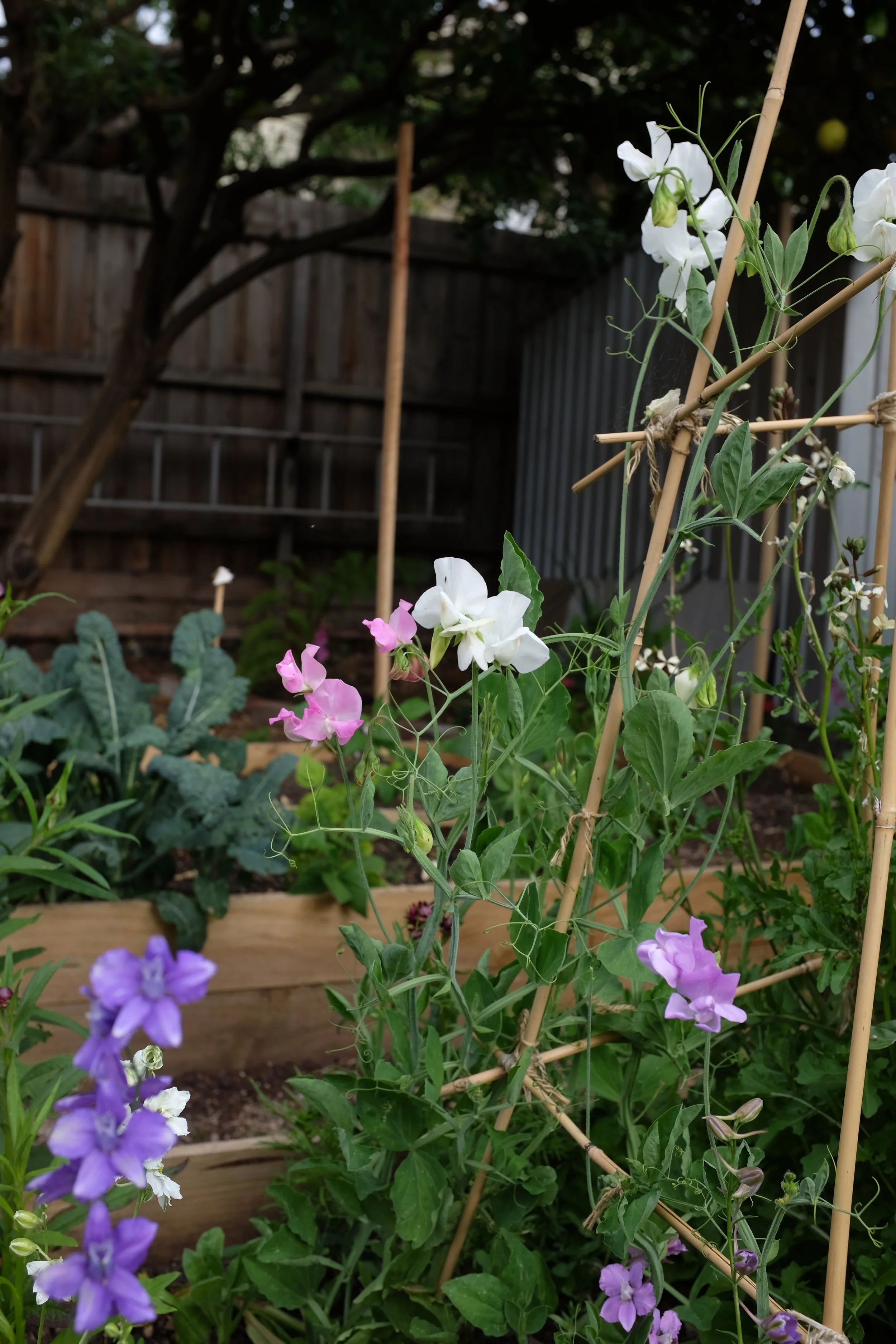 DSCF2899.JPG