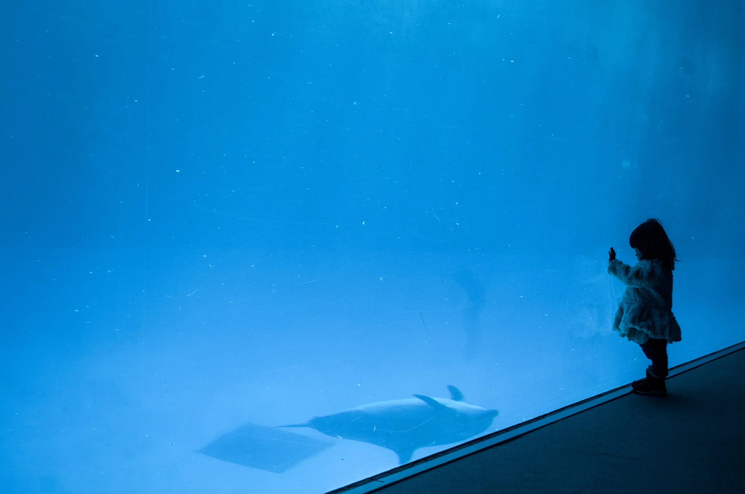 Yokohama, Japan, 2014