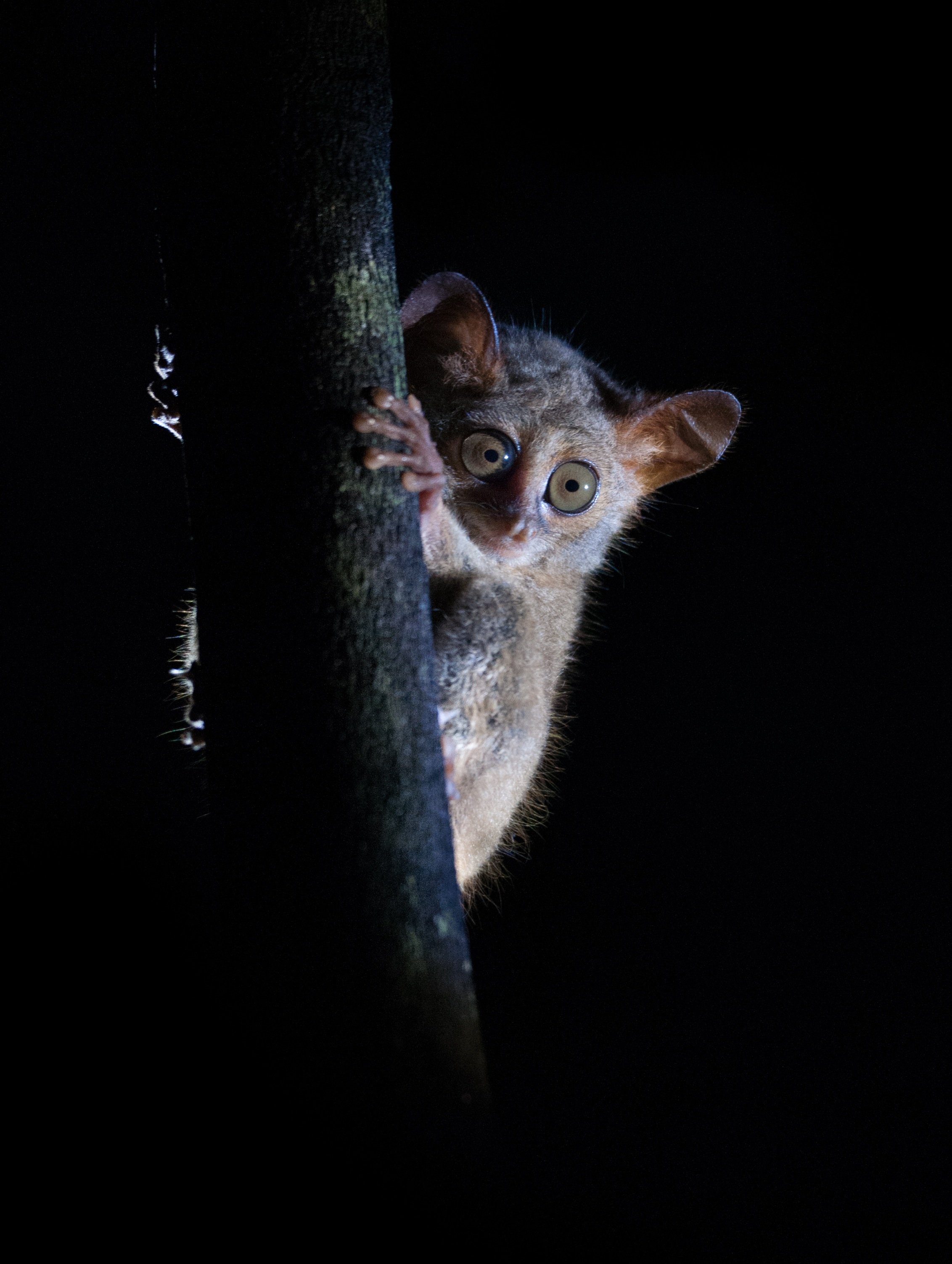 DSC_7765-3.jpg