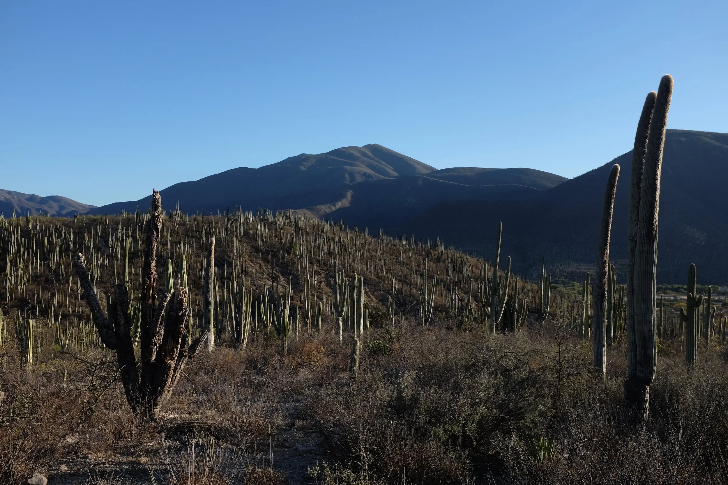 DSCF1448.JPG