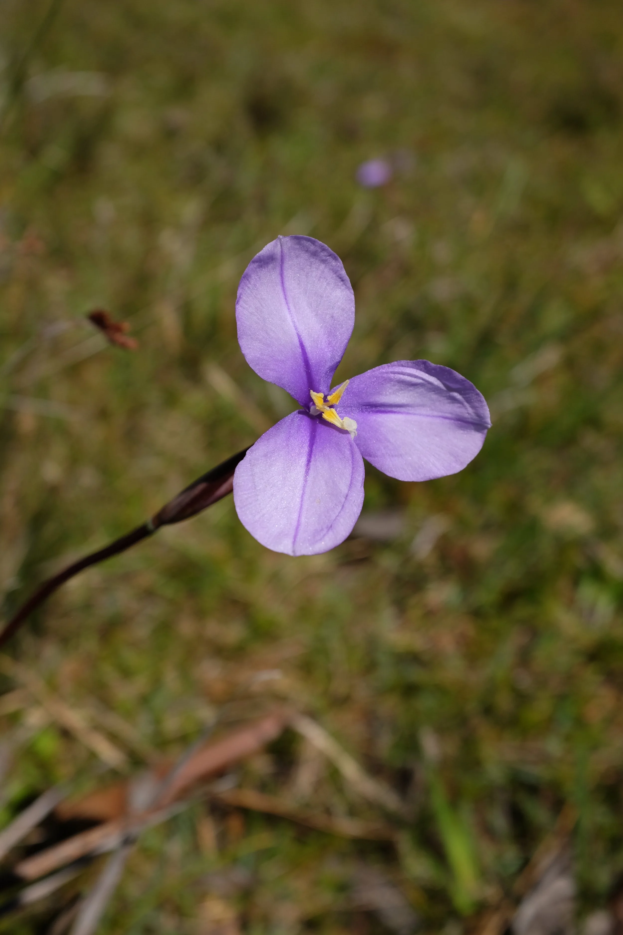 DSCF2787.JPG