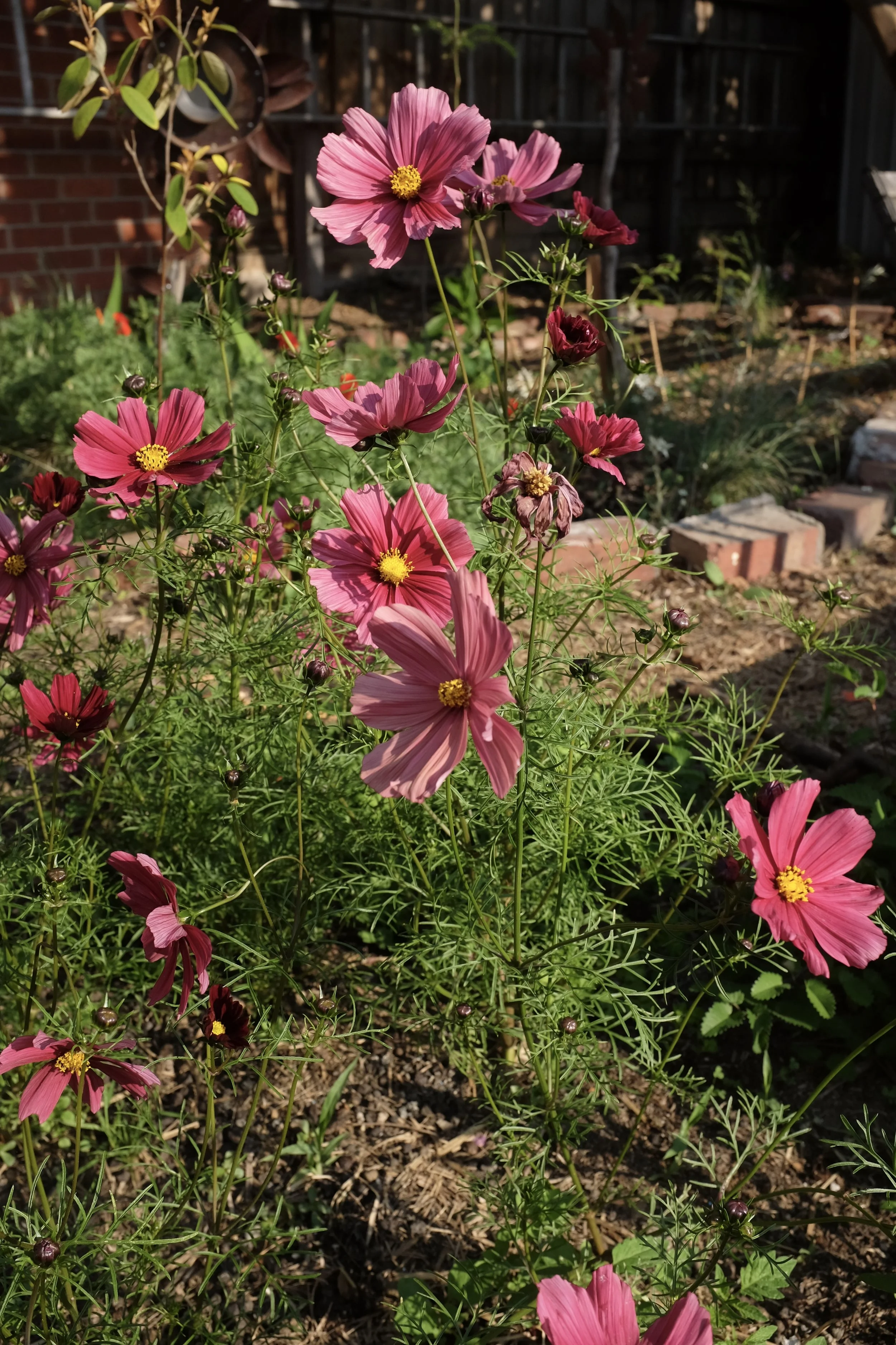 DSCF2871.JPG