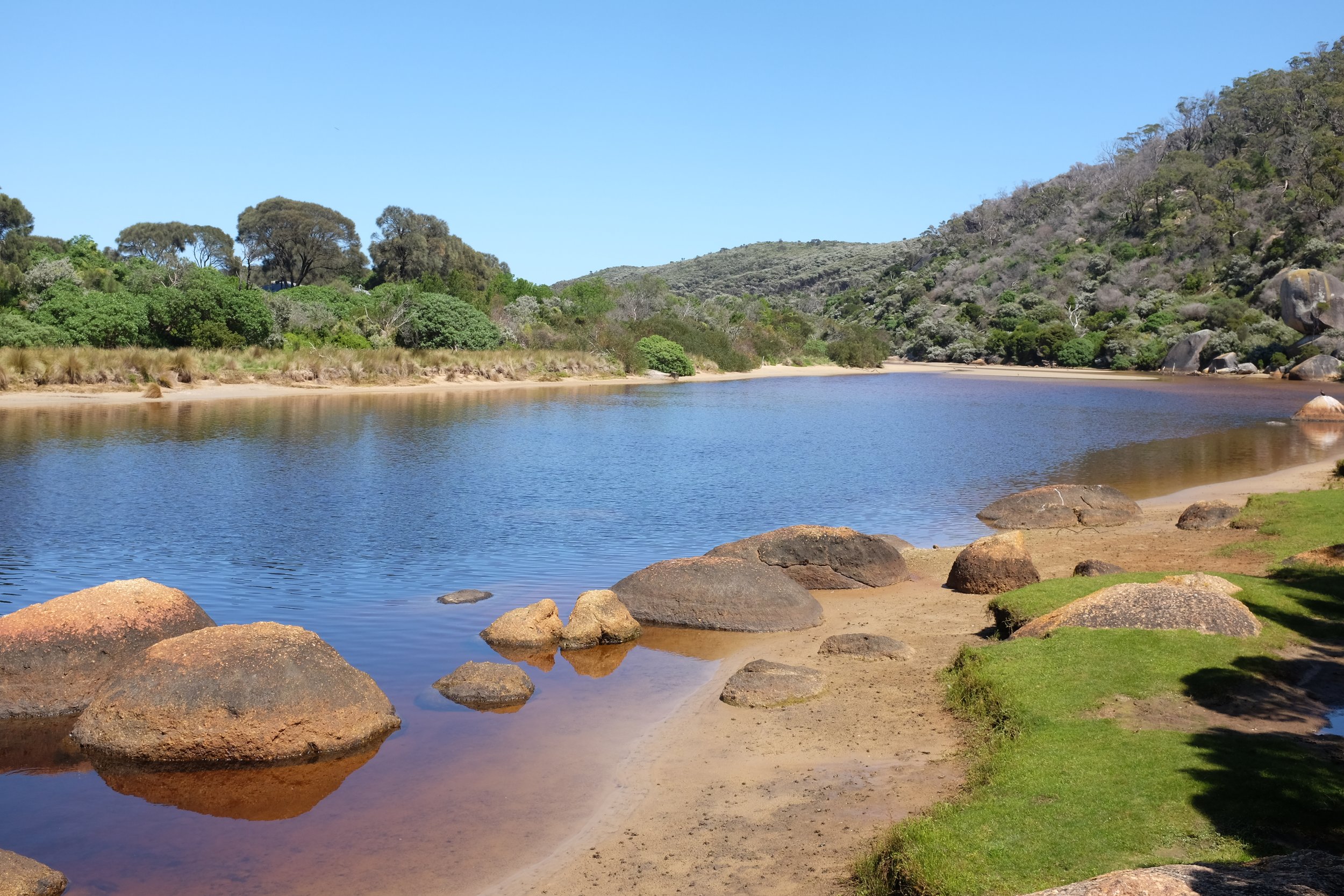 DSCF2756.JPG