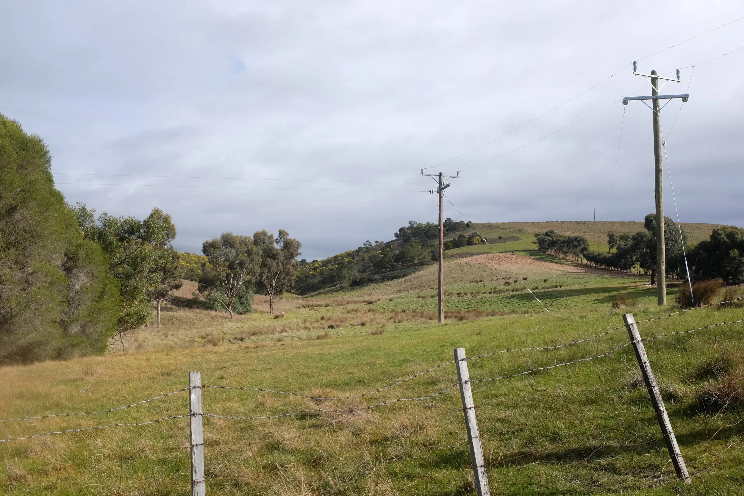 DSCF2494.JPG