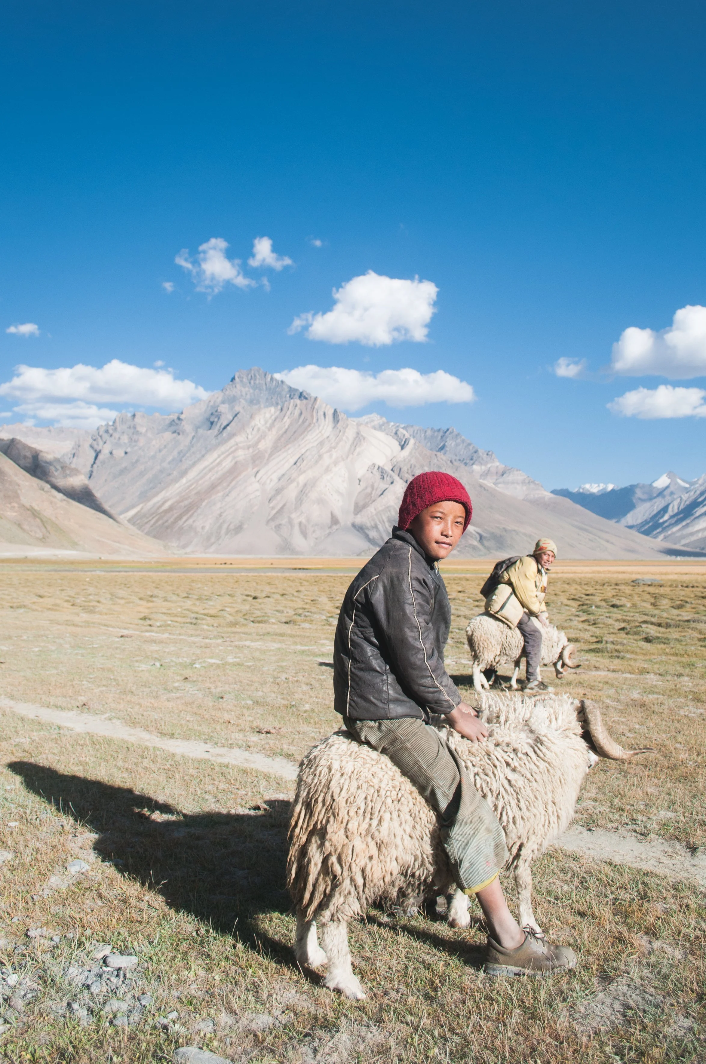 Rangdum, India, 2013