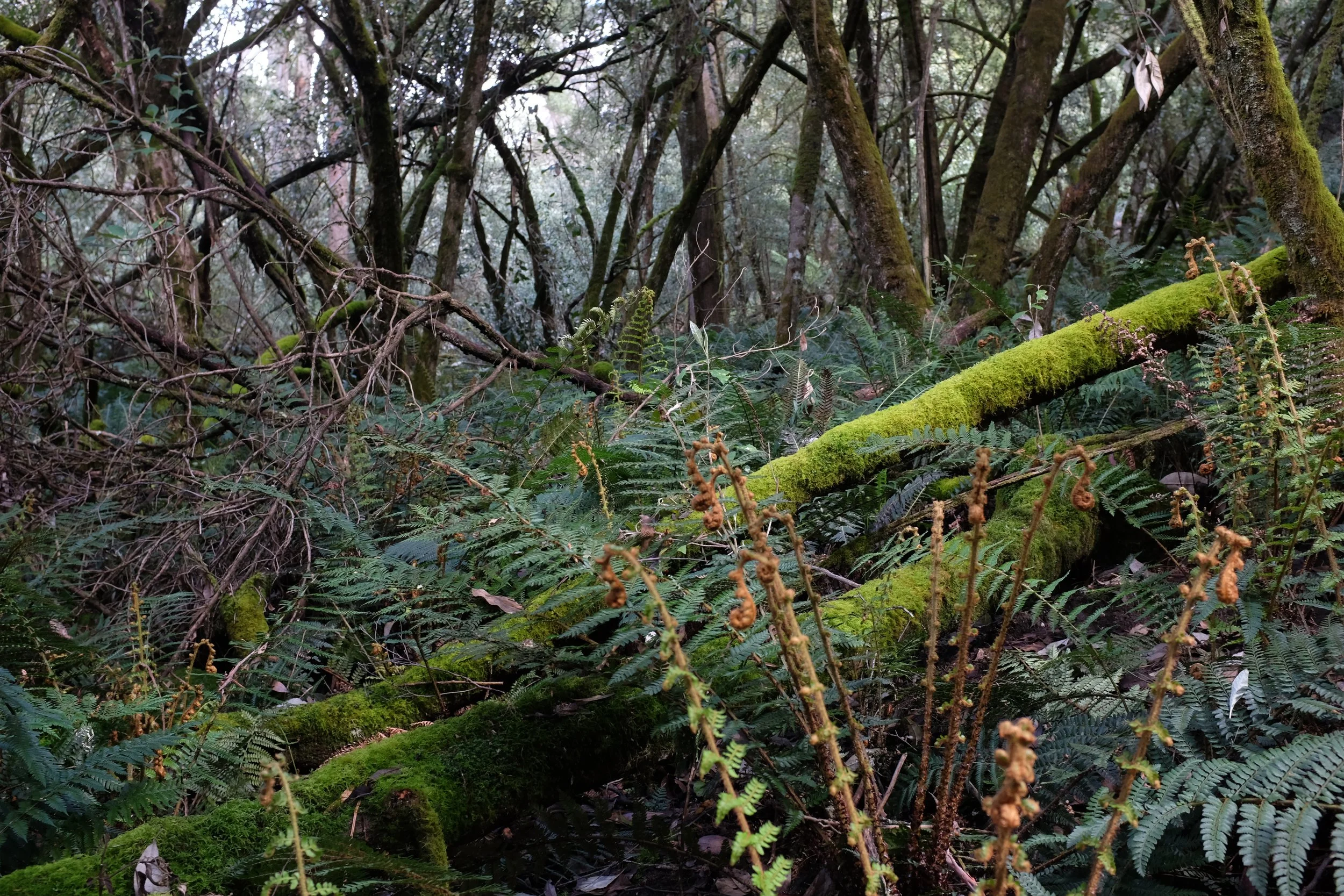 ED64D380-DFDD-4183-BCBD-A728F9F02A42-6691-0000036A27C93921.jpg