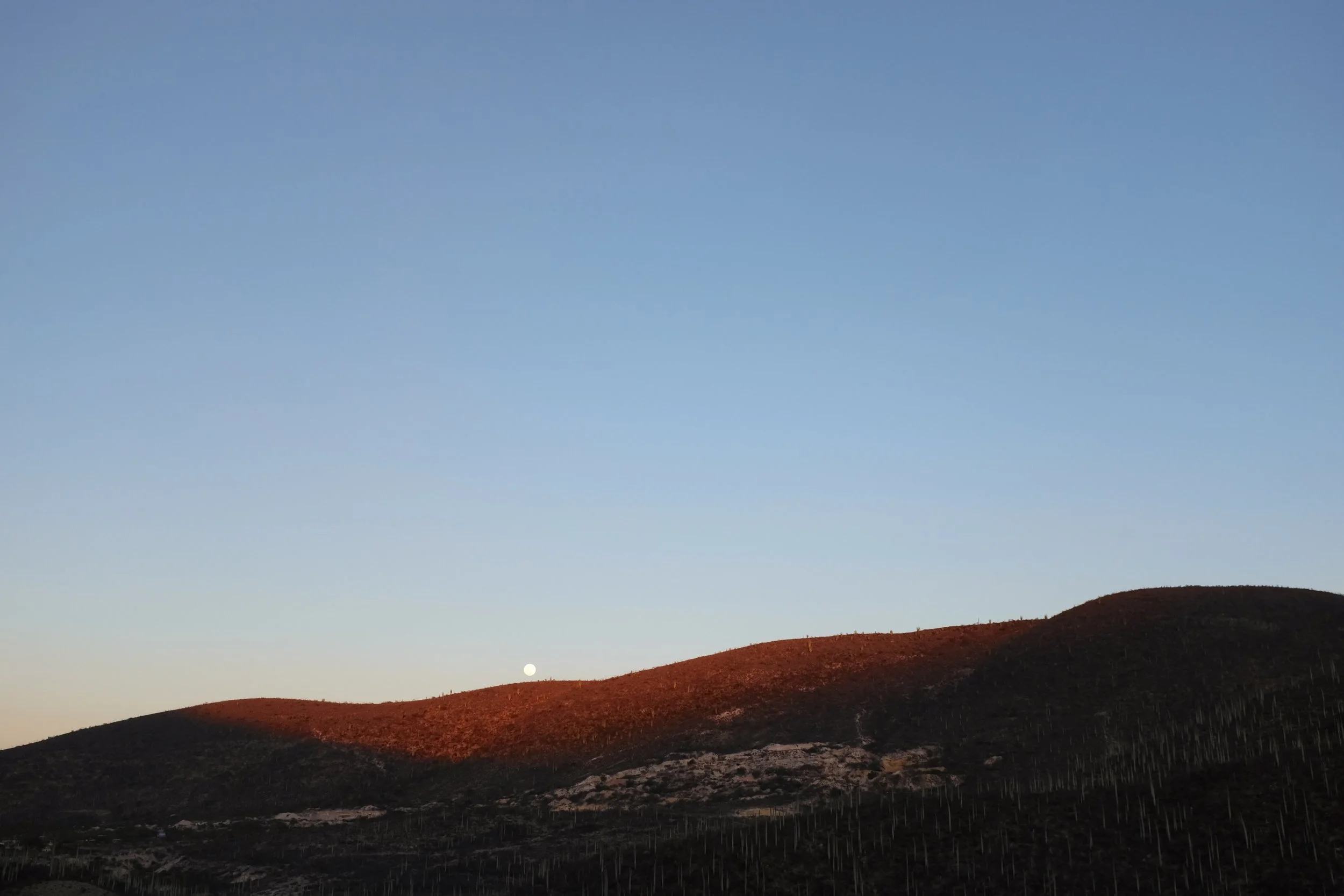 DSCF1493.JPG