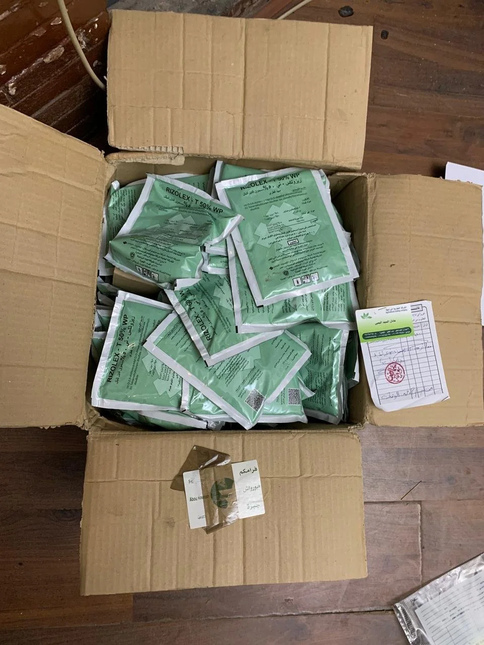 WhatsApp Image 2024-10-25 at 11.42.05.jpeg