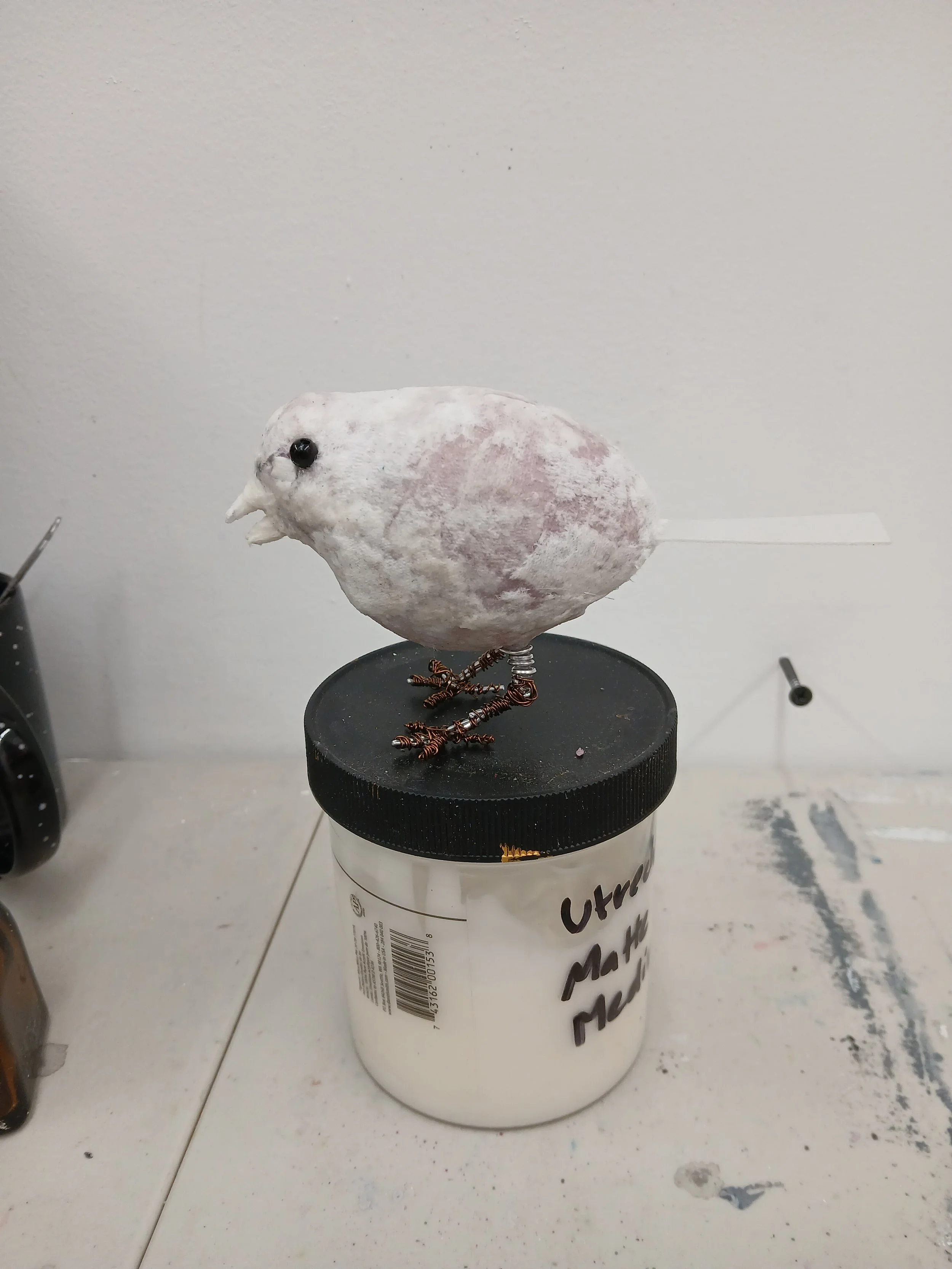 250313-sparrow (1).jpg