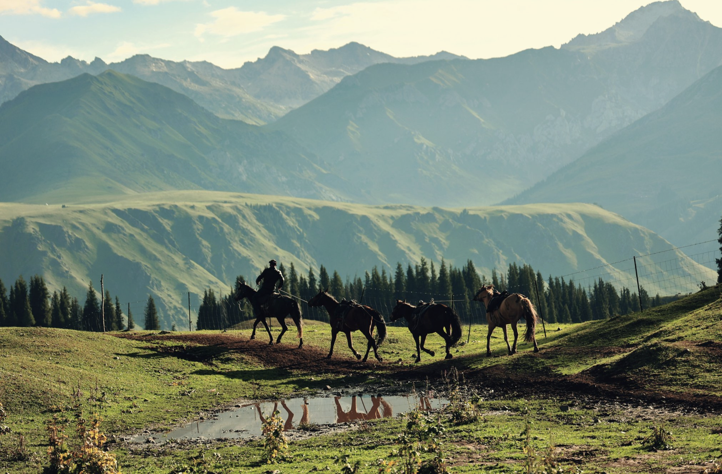 Horse back riding..png