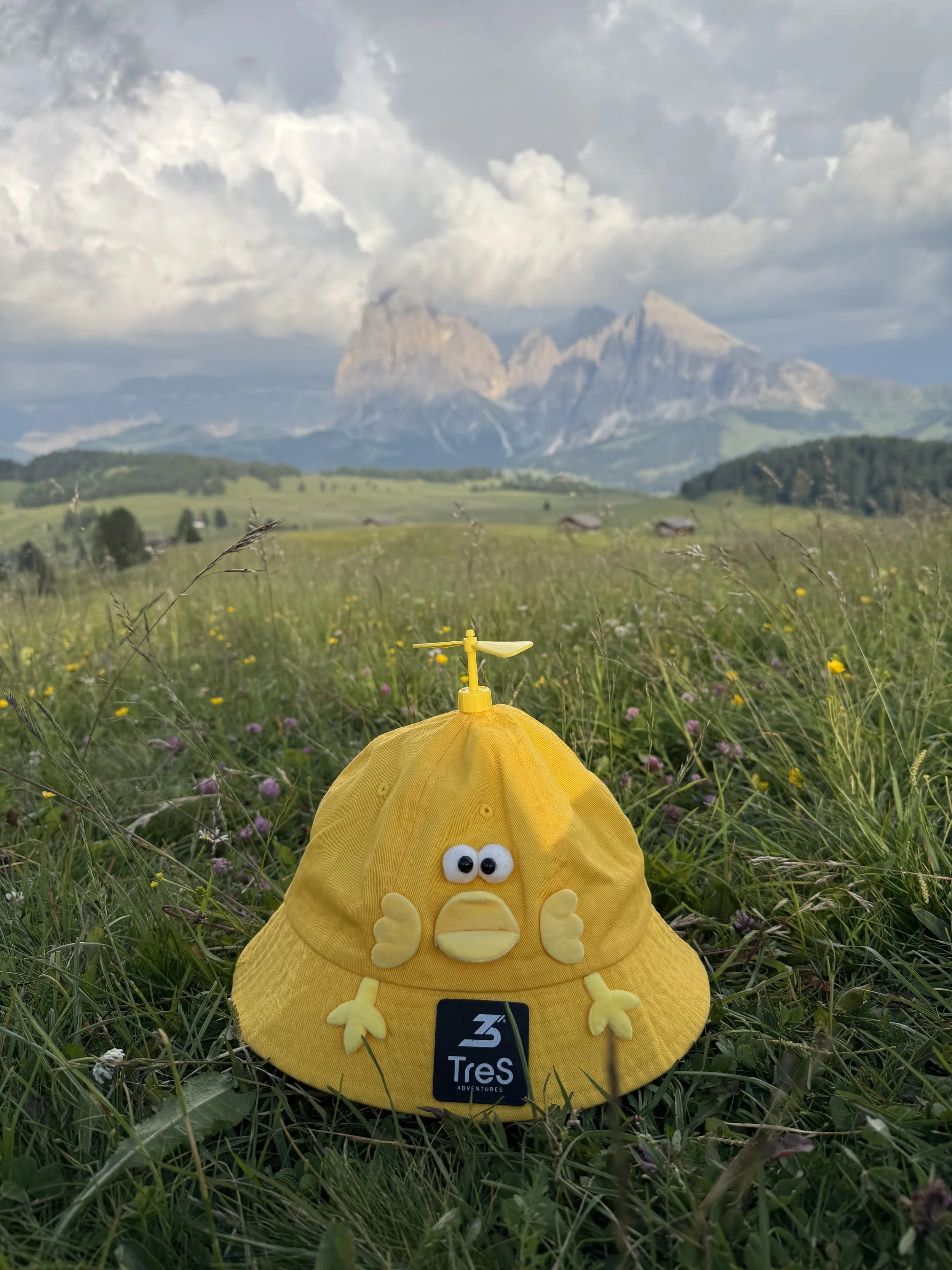 From TreS - Hello World!