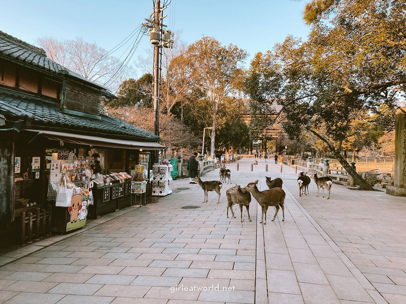 nara1.jpg