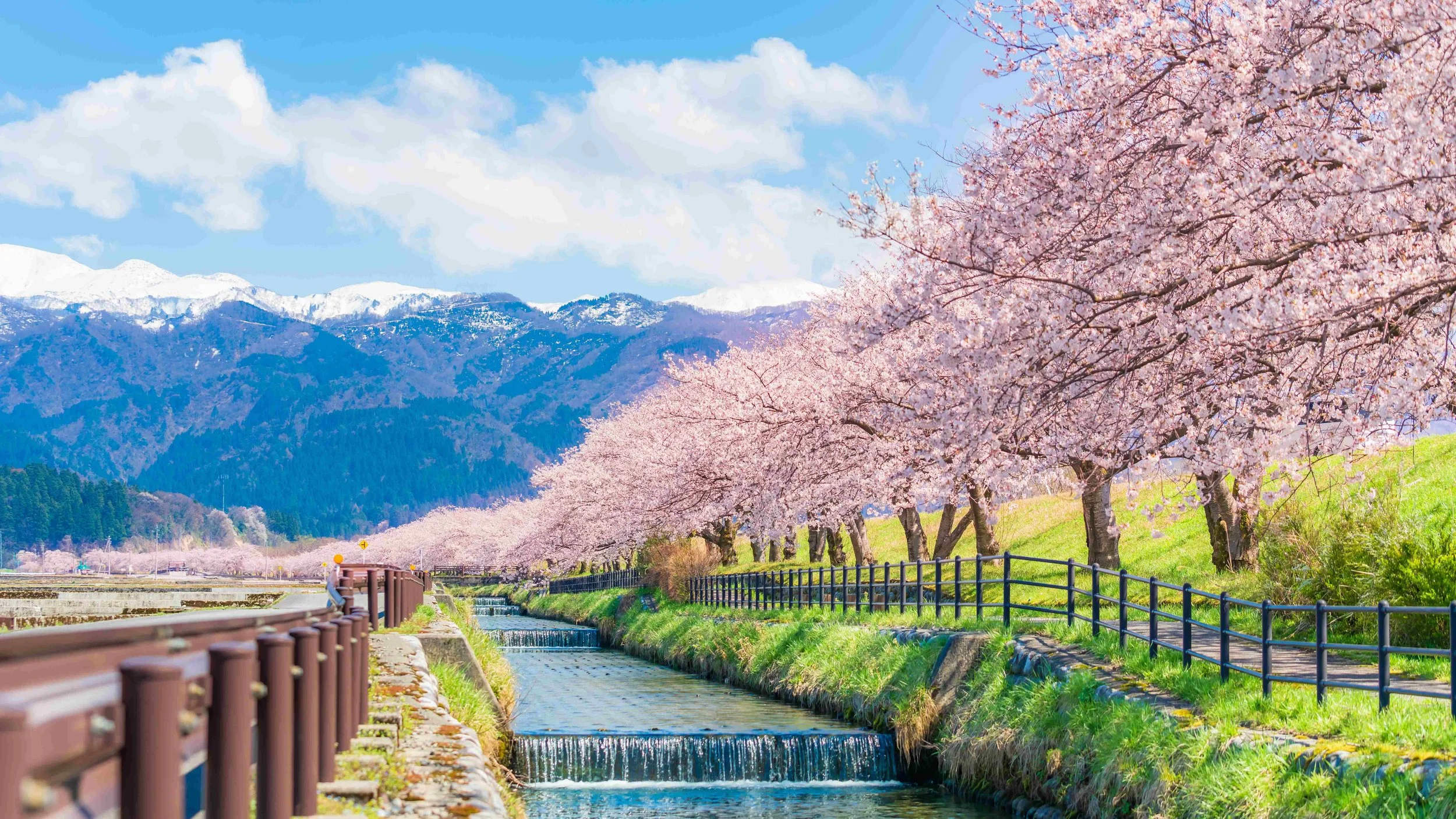 toyama.jpg