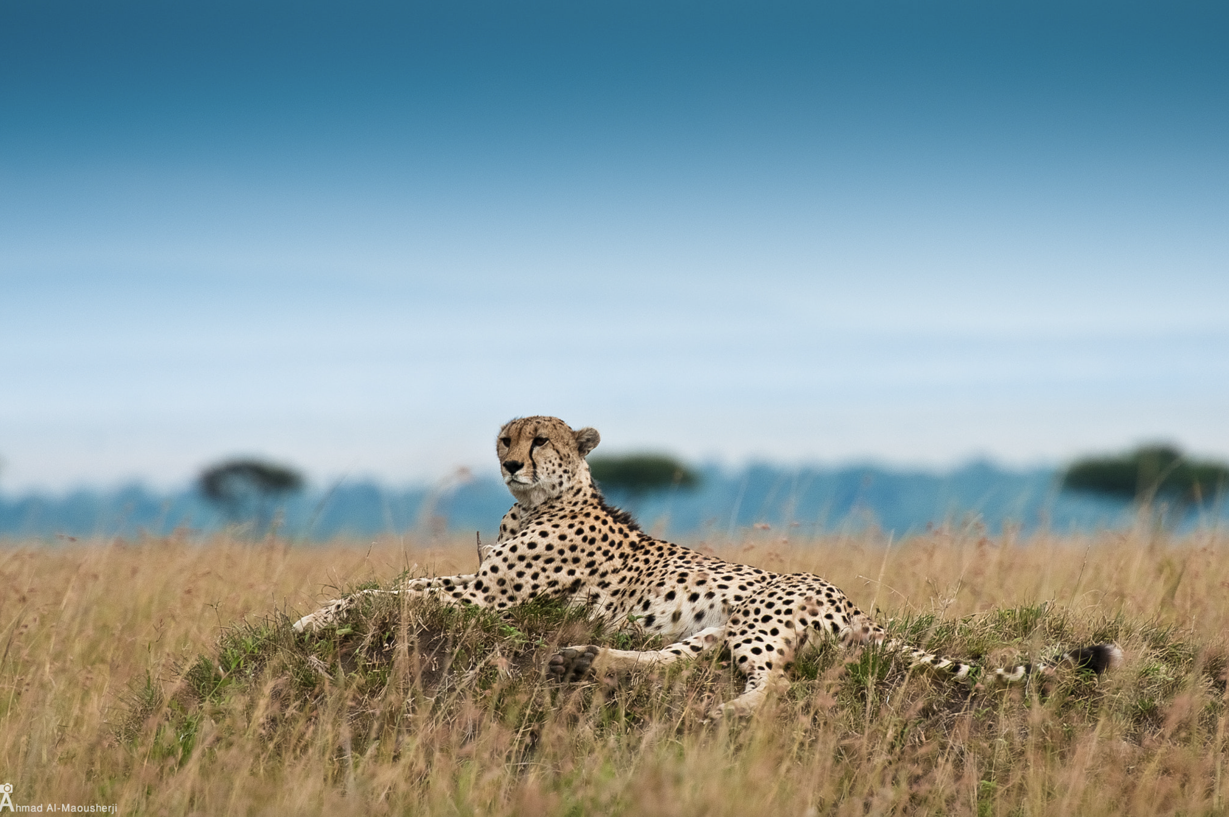 South Africa