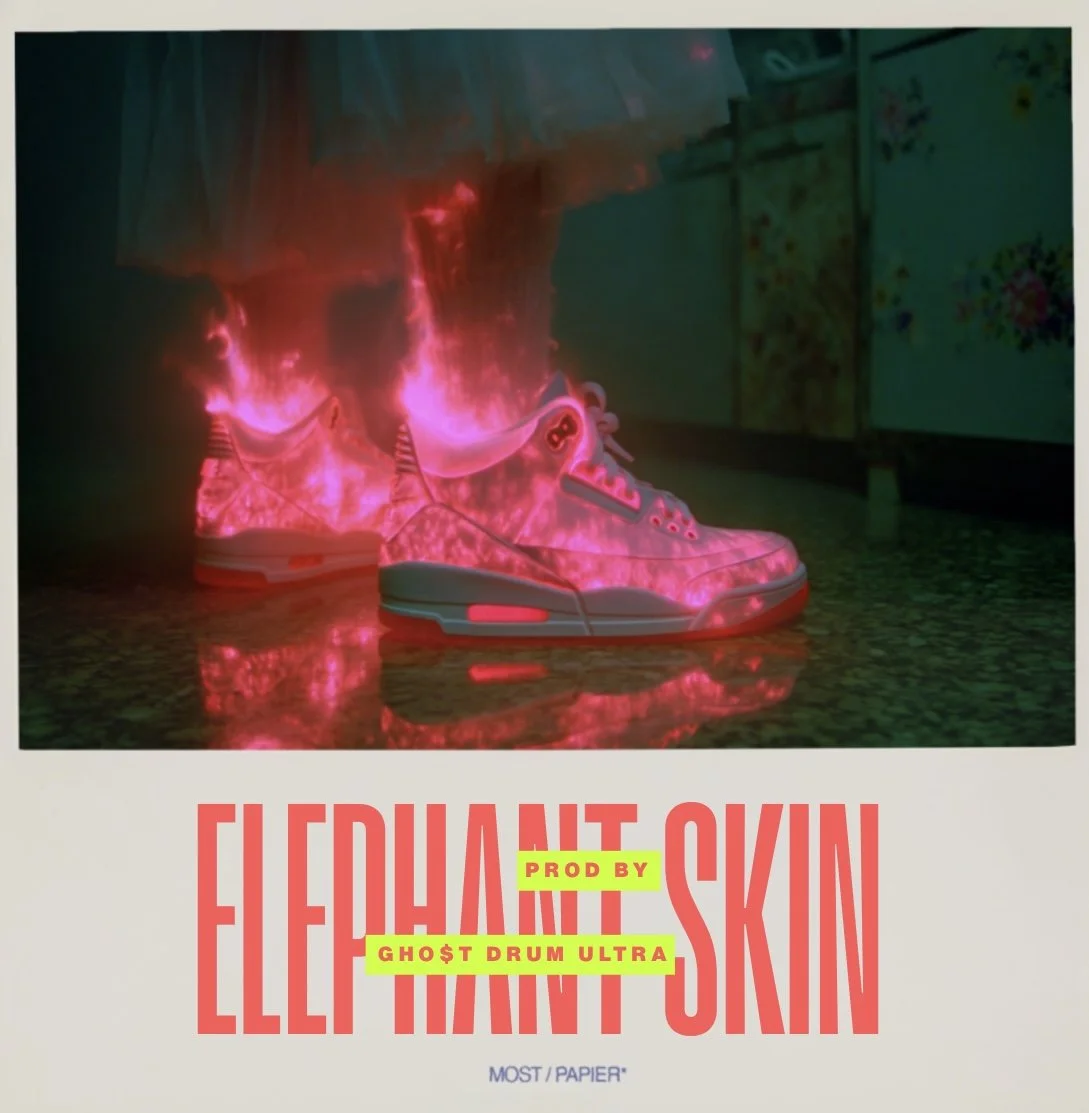 "ELEPHANT SKIN" WESTSIDE GUNN X ALCHEMIST TYPE BEAT PROD BY GHO$T DRUM ULTRA