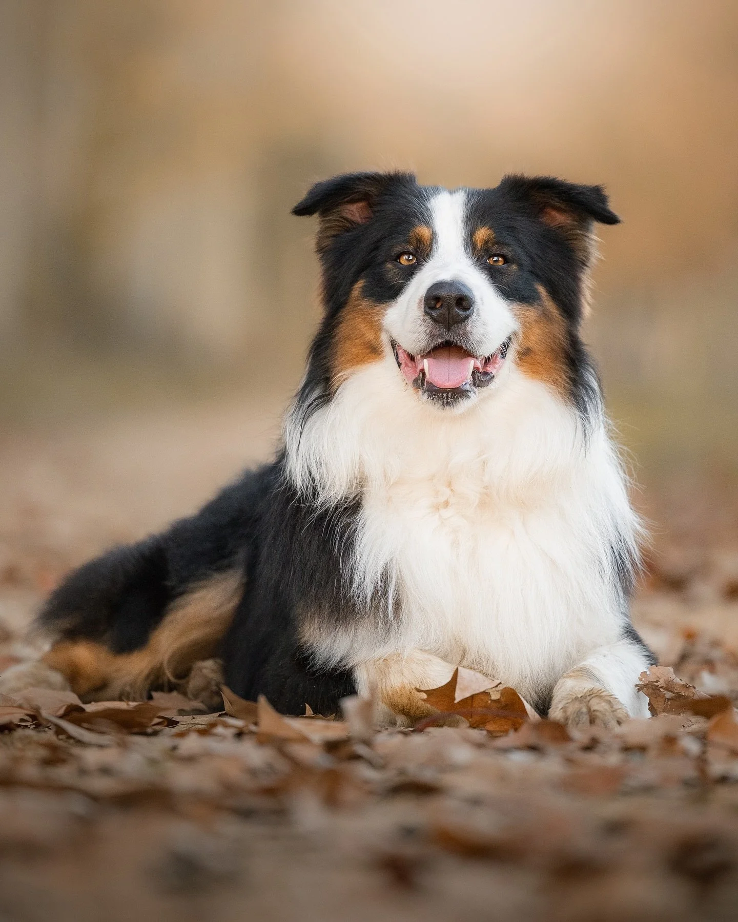Hace dos d&iacute;as se cumpli&oacute; exactamente un a&ntilde;o desde nuestra sesi&oacute;n con Geiko y su preciosa familia. Qu&eacute; fuerte pensar que ya haya pasado tanto tiempo. ✨

Nos encanta volver a ver fotos de sesiones pasadas, revivir cad