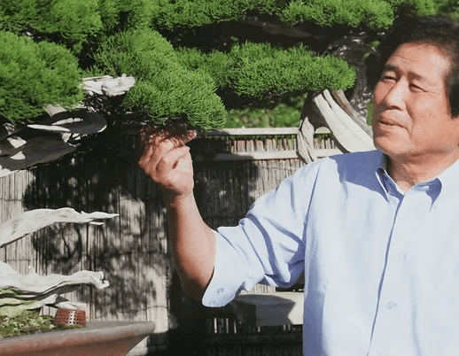 Masahiko Kimura : Le Magicien du Bonsaï Transformant l'Art Traditionnel