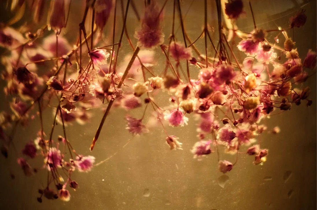 Flowers.jpg