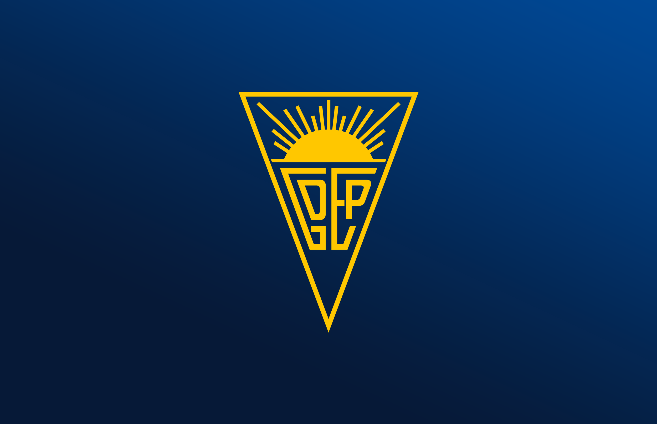 Web project thumb.png