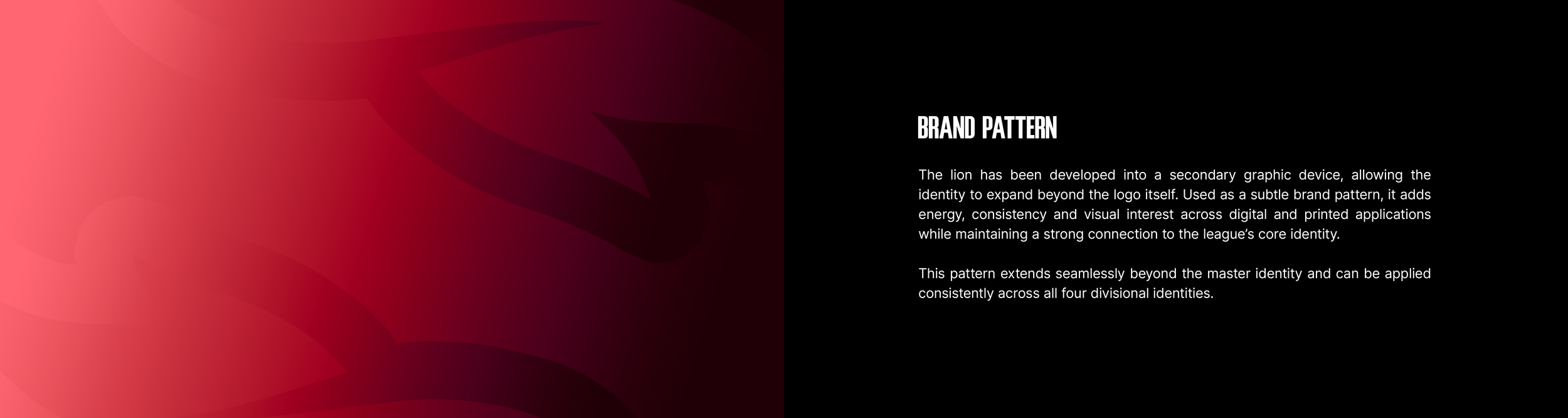 brand patterns.png