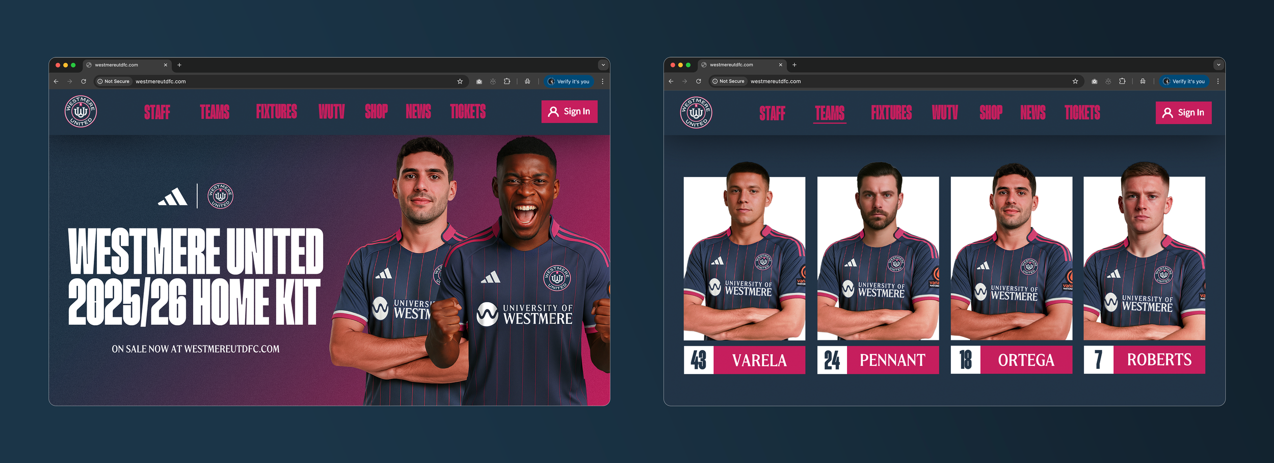 website showcase.png