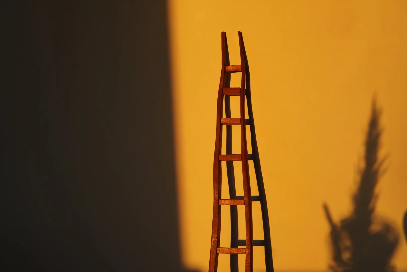A small wooden sculpture, cast in shadow against a warm yellow background with a plant shadow on the right side.
