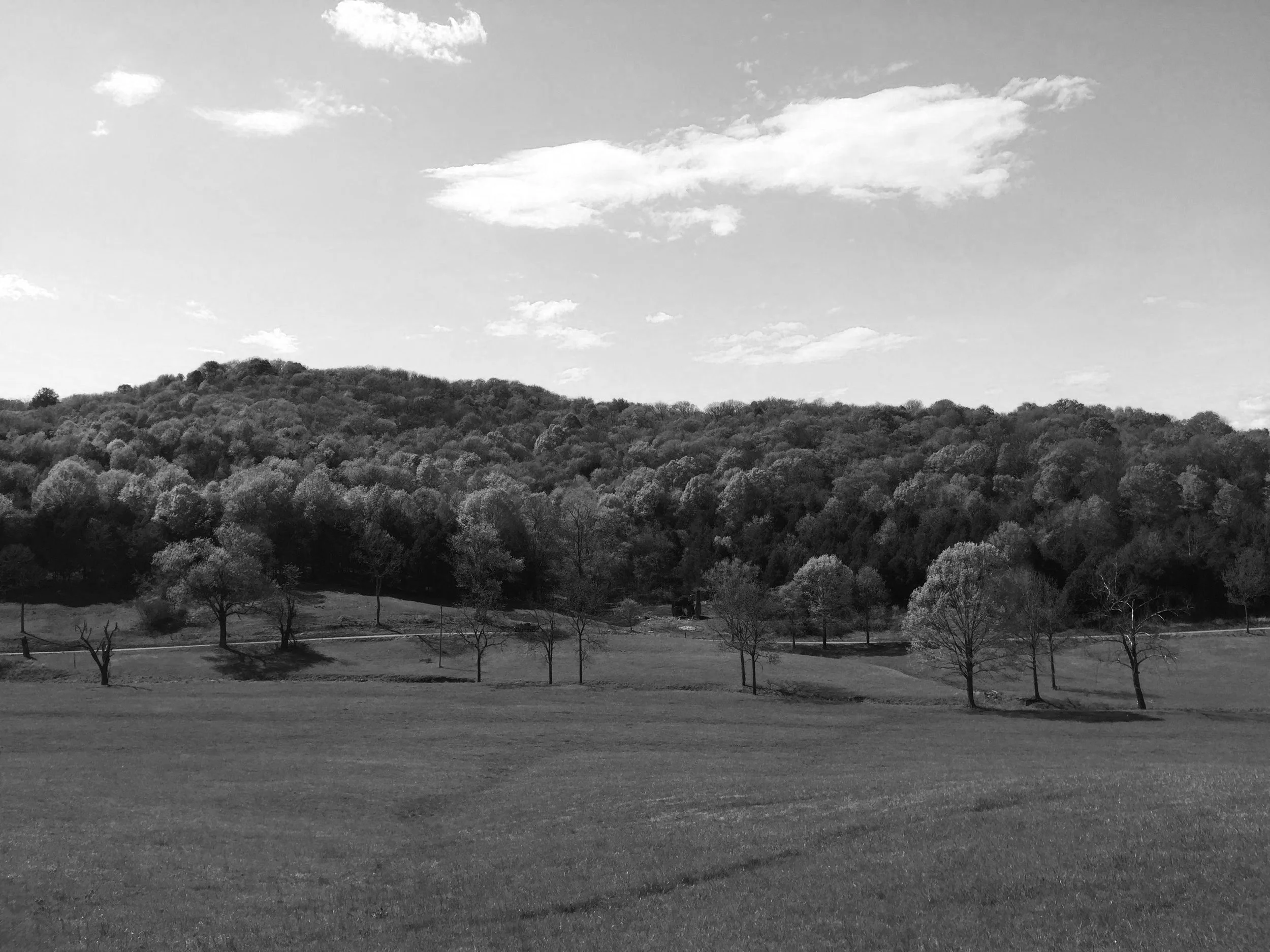 Black and white photo of a landscape with open grassy field in the foreground, scattered trees, a hill covered with dense forest in the background, and a partly cloudy sky.