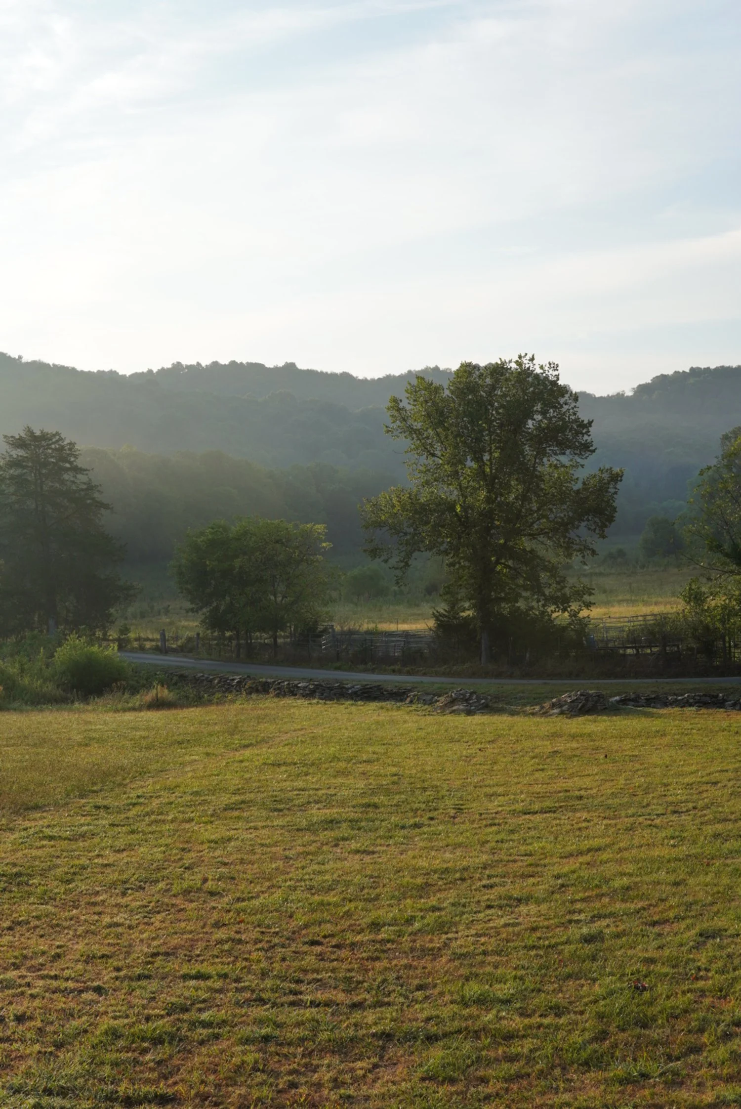A peaceful rural landscape featuring a grassy field, a winding road, and trees with hills in the background under a partly cloudy sky during the daytime.