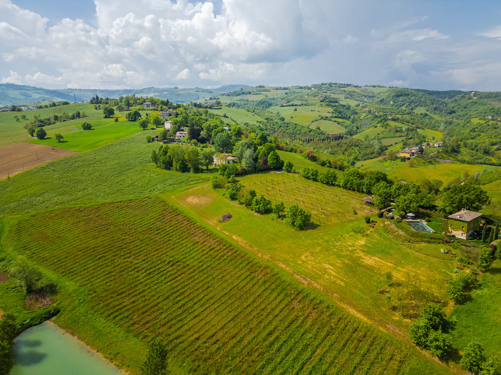 DJI_0286.jpg
